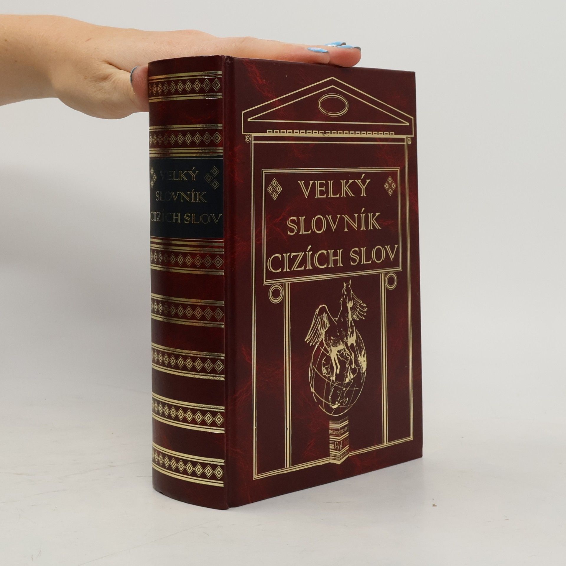 Kolektív autorov Velký slovník cizích slov