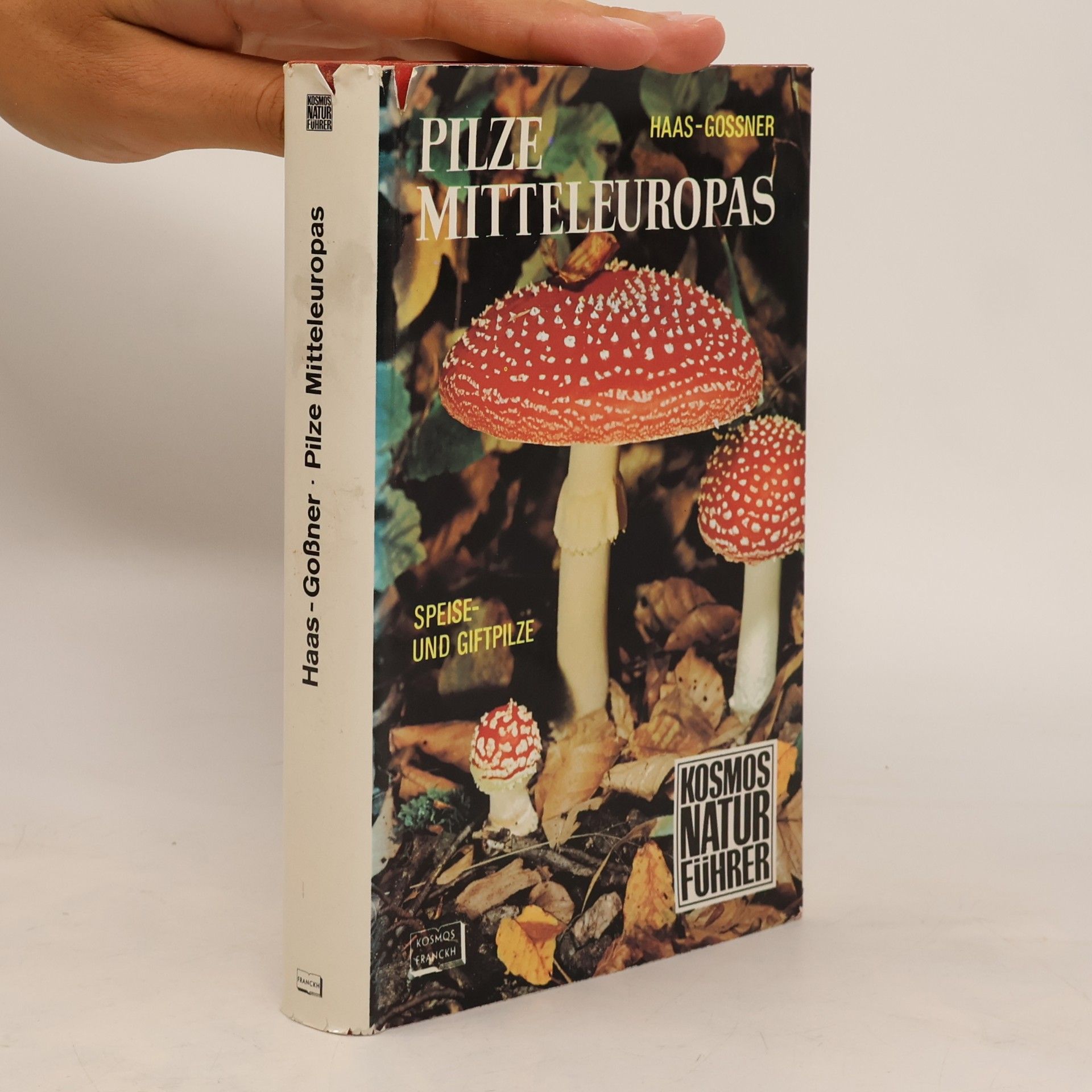 Pilze Mitteleuropas