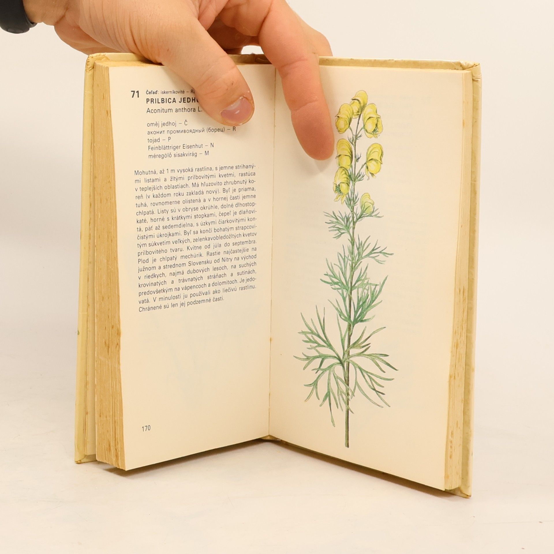 Dezider Magic Atlas chránených rastlín. Obrázková kvetena Slovenska