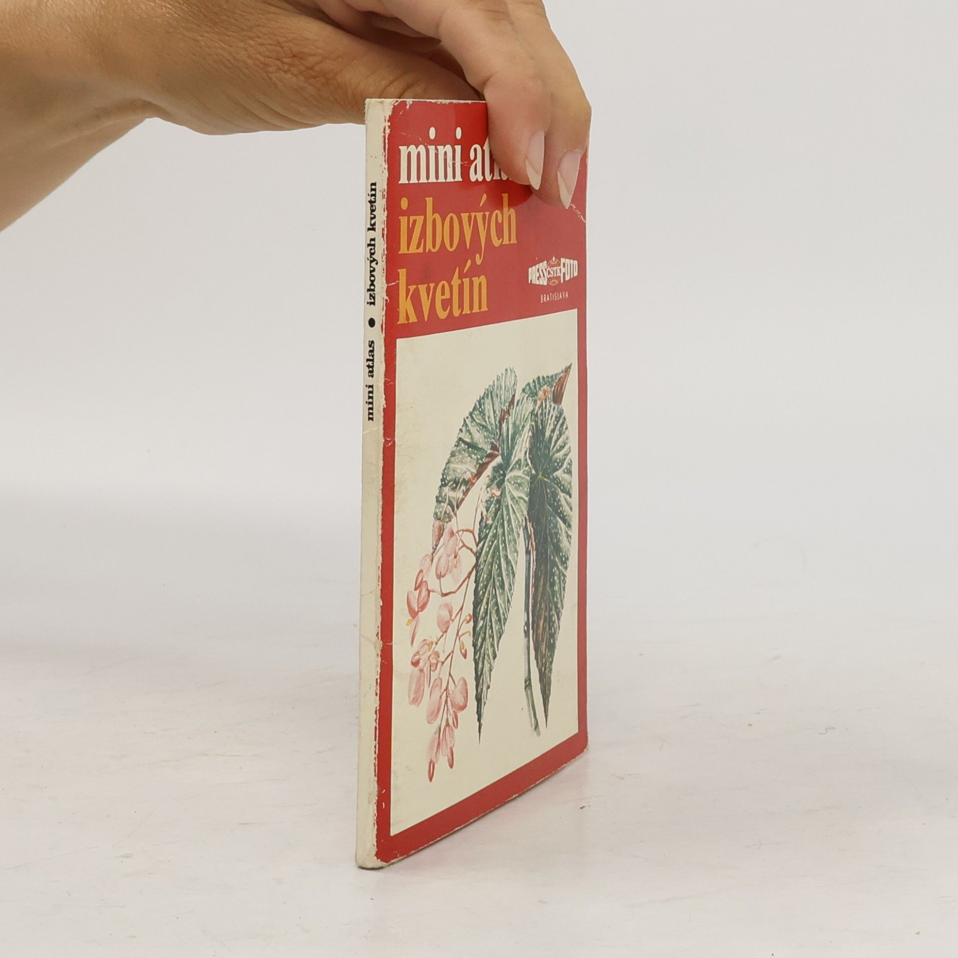 Autorenkollektiv Mini atlas izbových kvetín
