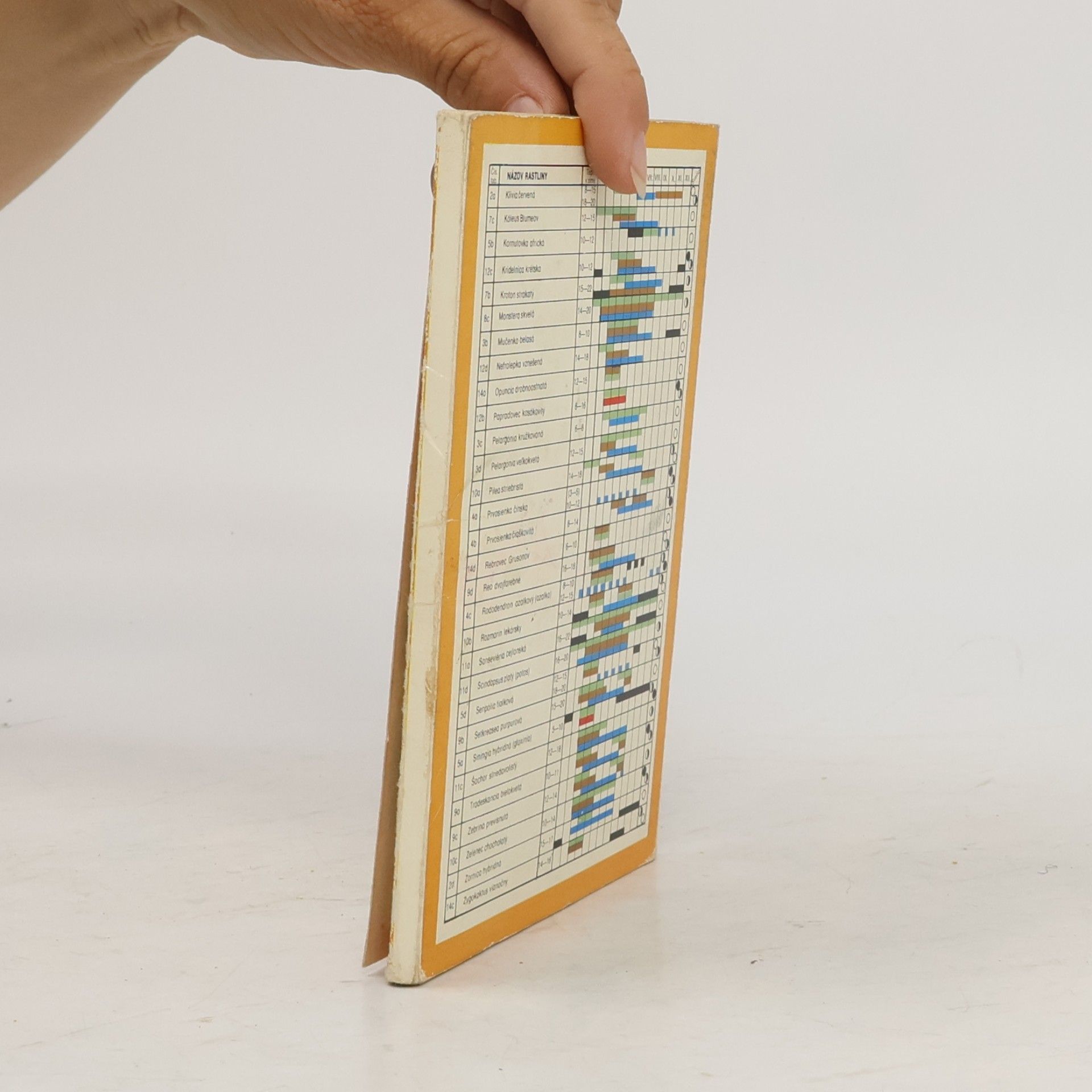 Autorenkollektiv Mini atlas izbových kvetín