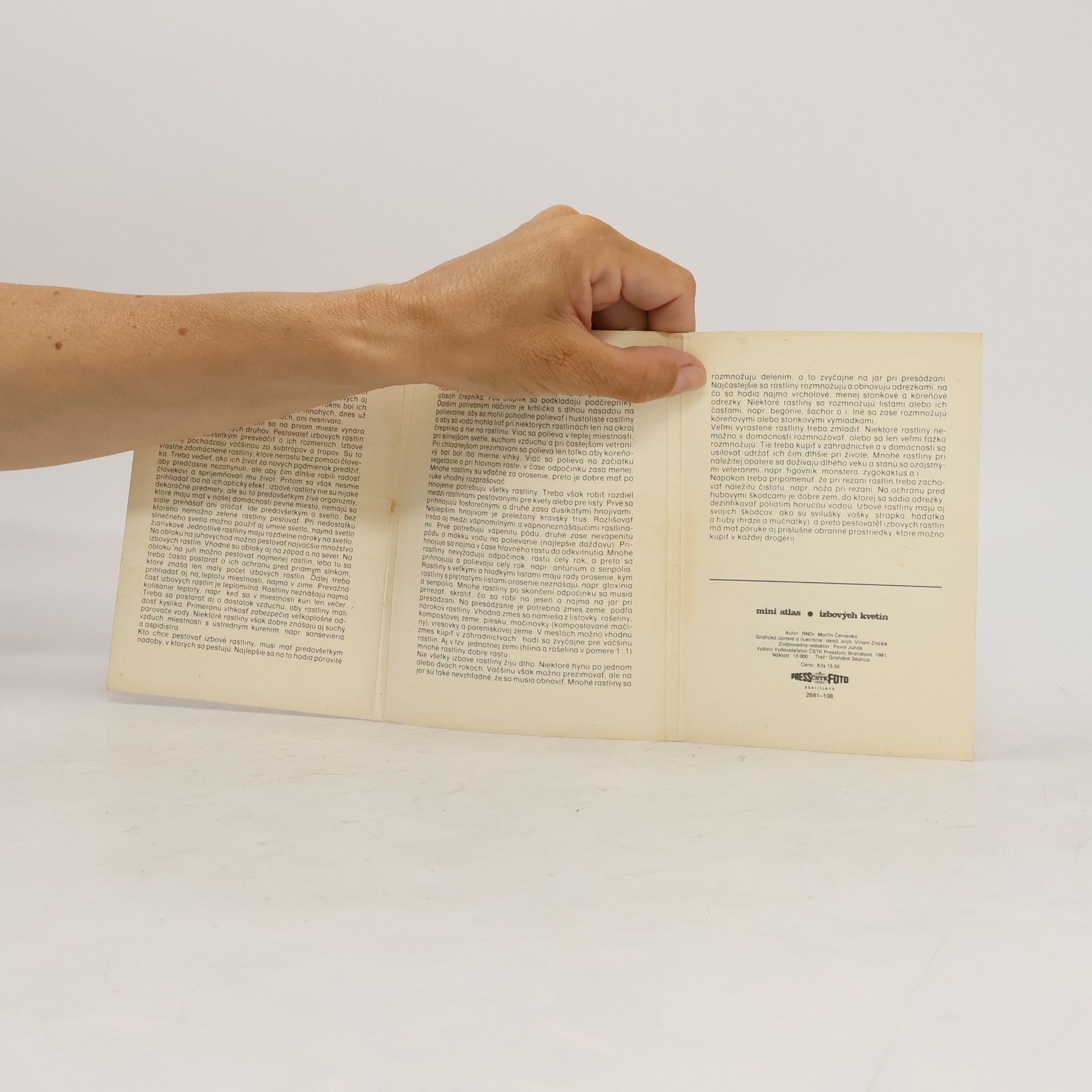 Autorenkollektiv Mini atlas izbových kvetín