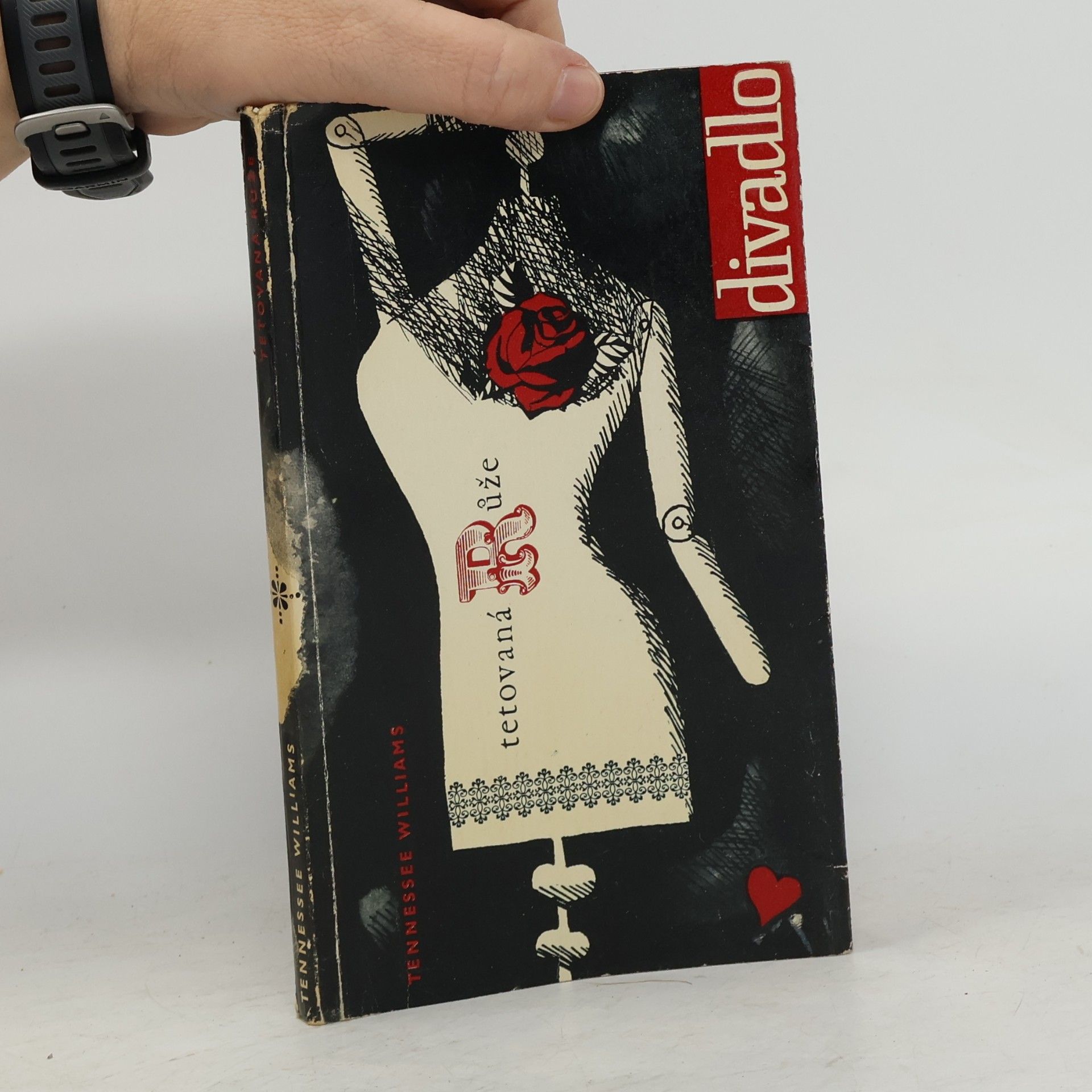 Tennessee Williams Tetovaná růže
