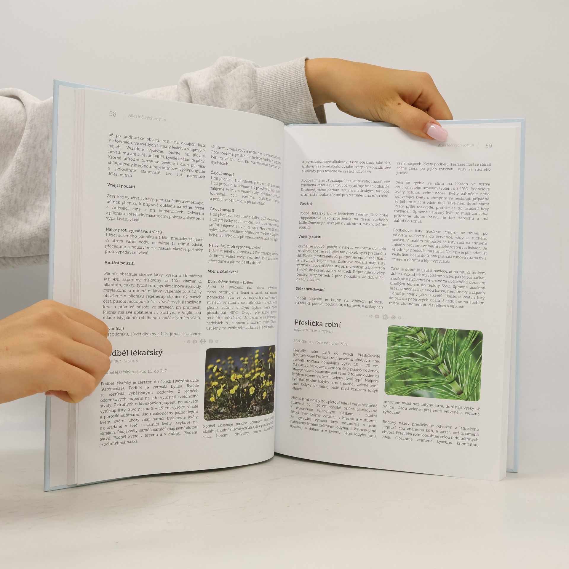 Autorenkollektiv Bylinky a recepty našich babiček