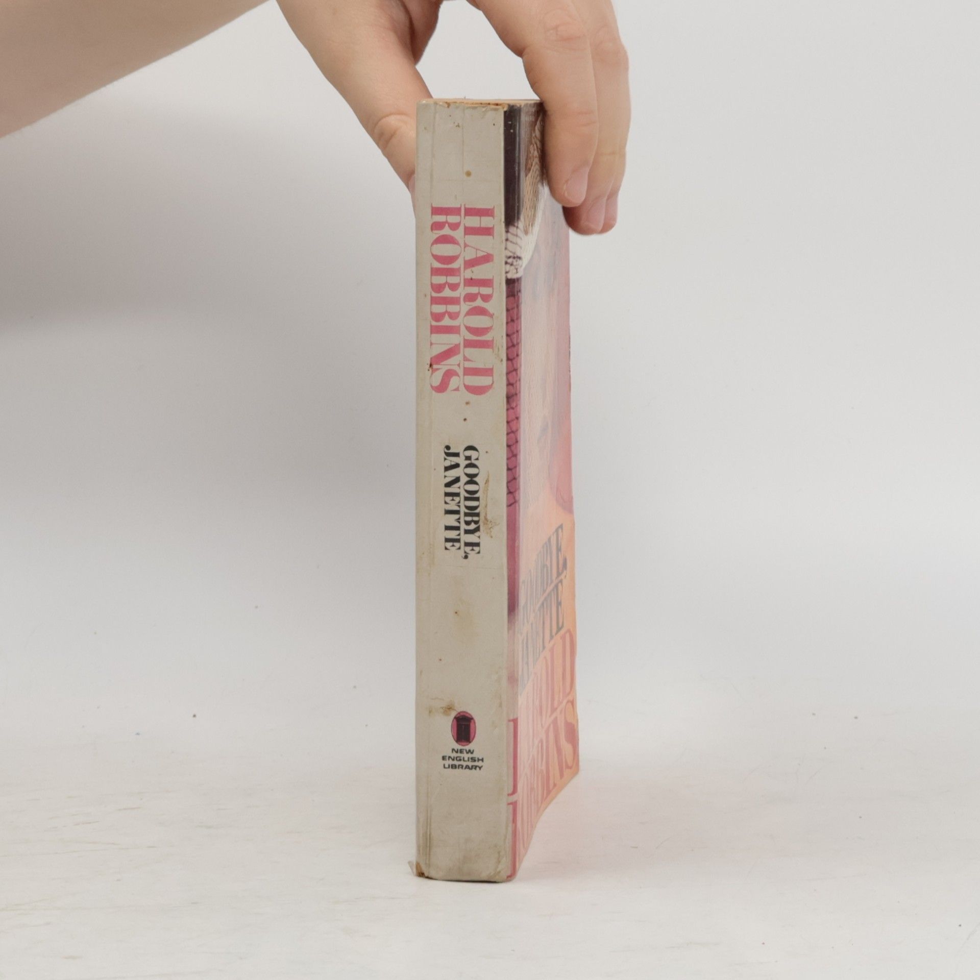 Harold Robbins Goodbye, Janette