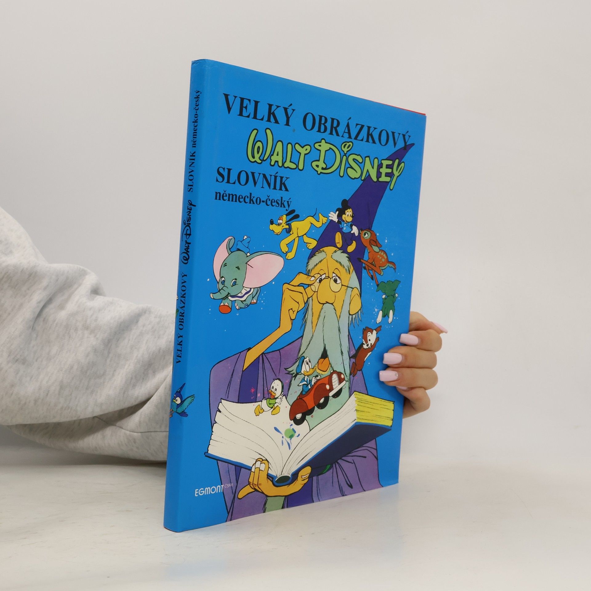 Kolektiv autorů Velký obrázkový slovník Walt Disney. Německo-český