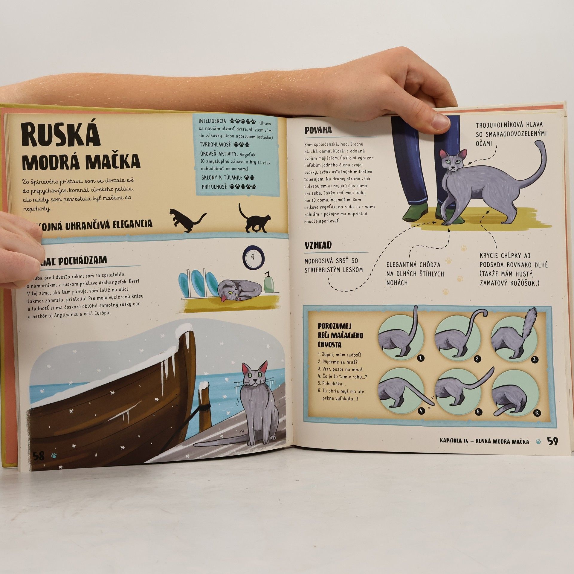 Helena Haraštová Atlas mačiek pre deti
