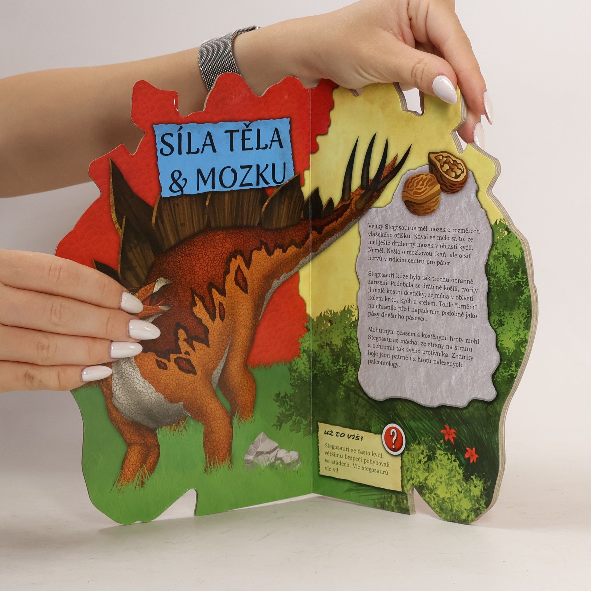 Autorenkollektiv Strašlivý Stegosaurus