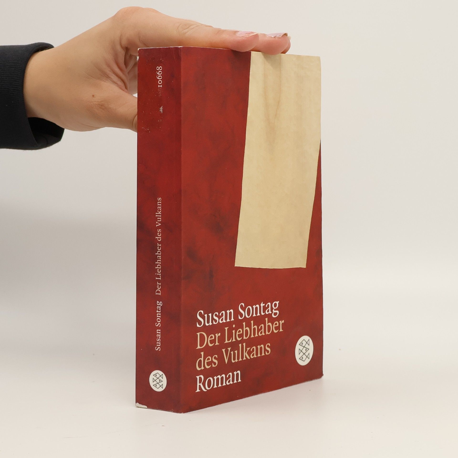 Susan Sontagová Der Liebhaber des Vulkans