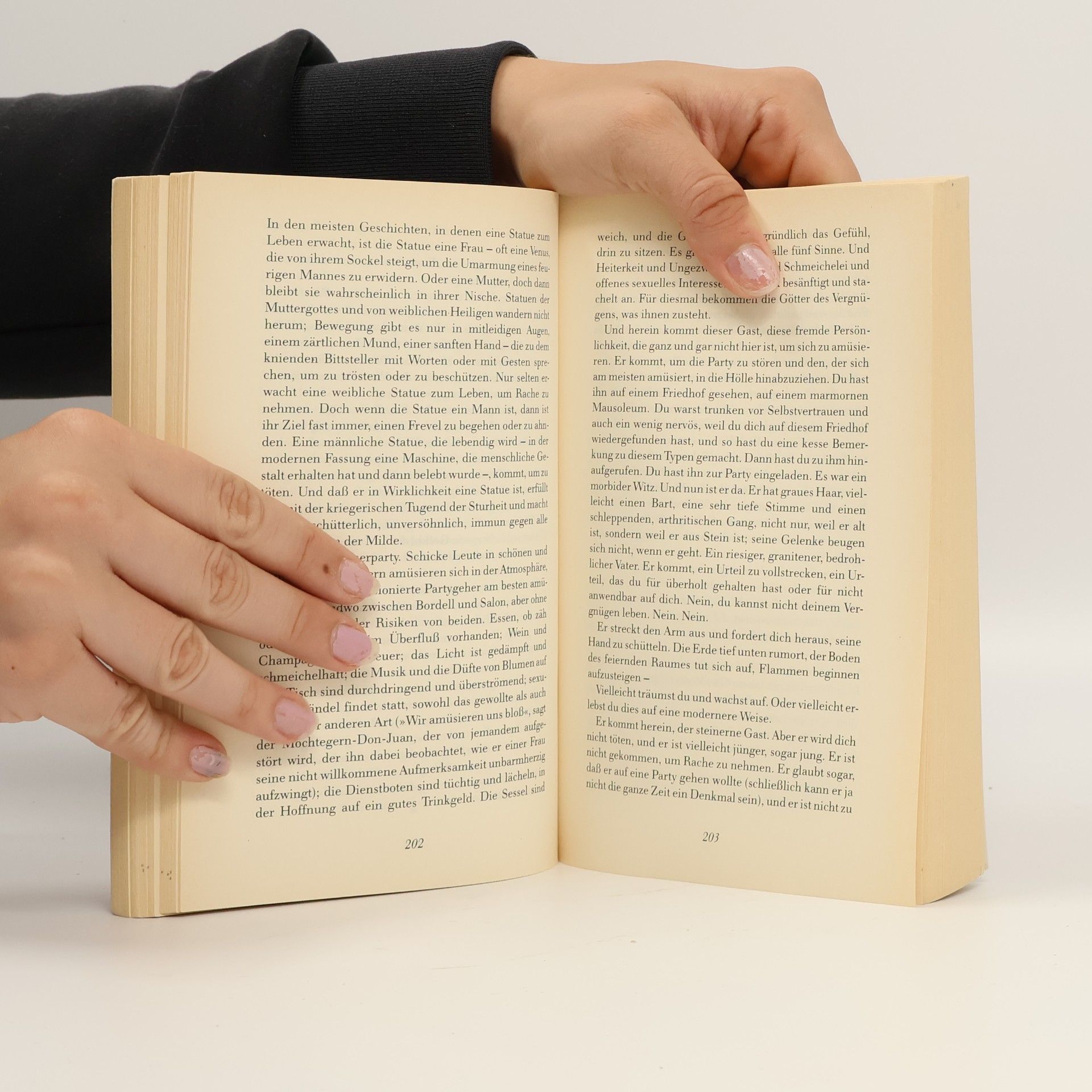 Susan Sontag Der Liebhaber des Vulkans