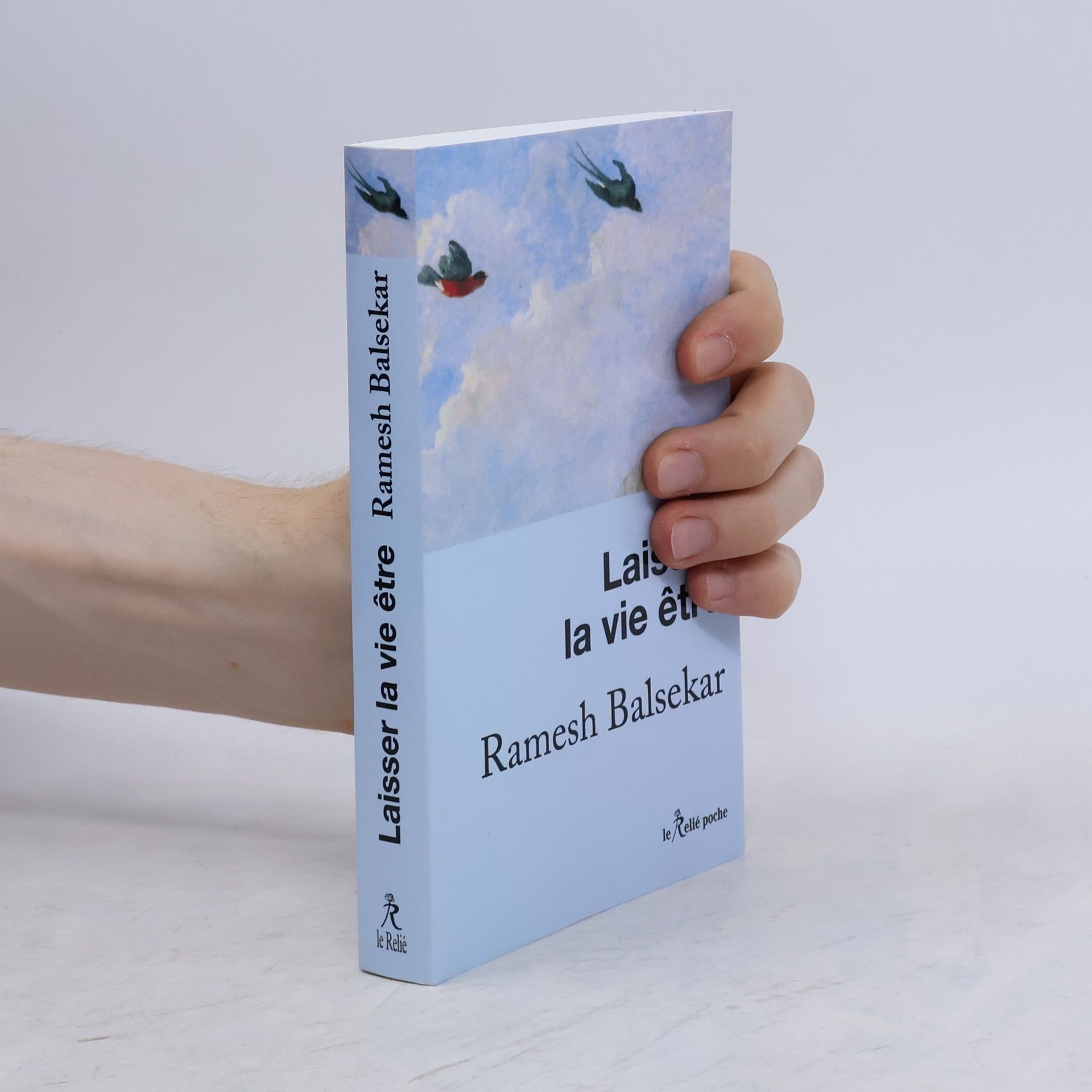 Ramesh Sadashiv Balsekar Le Relié poche: Laisser la vie être
