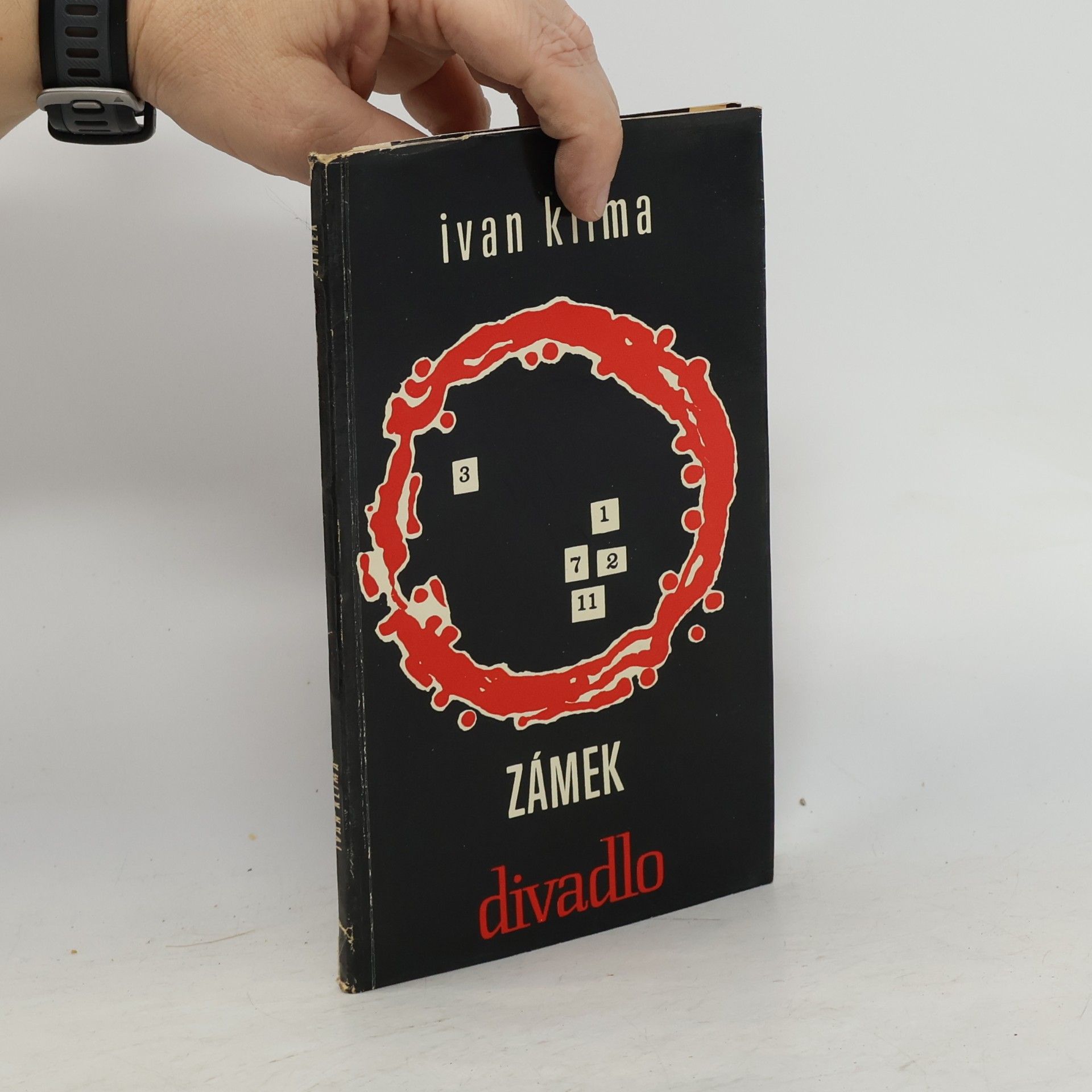 Ivan Klíma Zámek