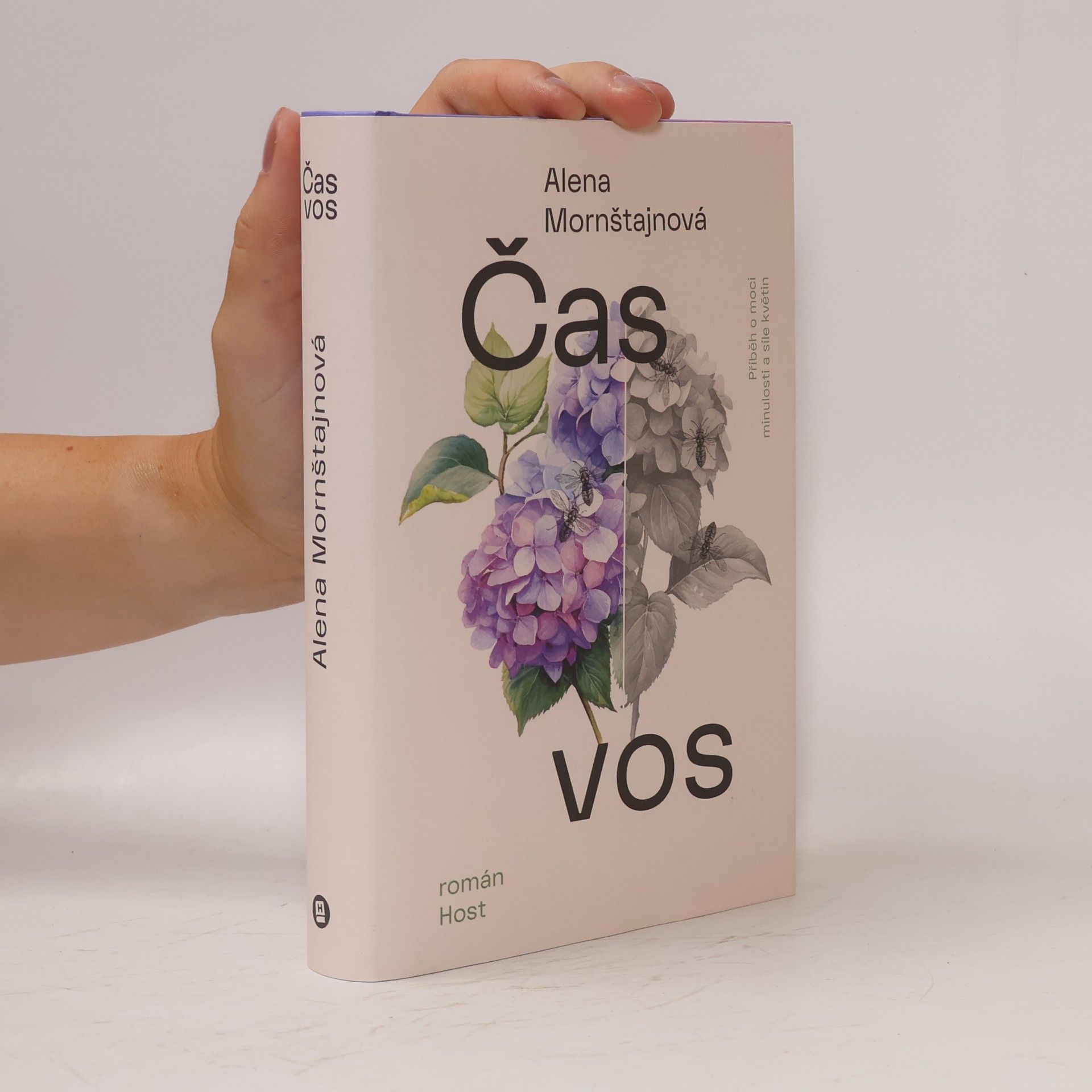 Alena Mornštajnová Čas vos