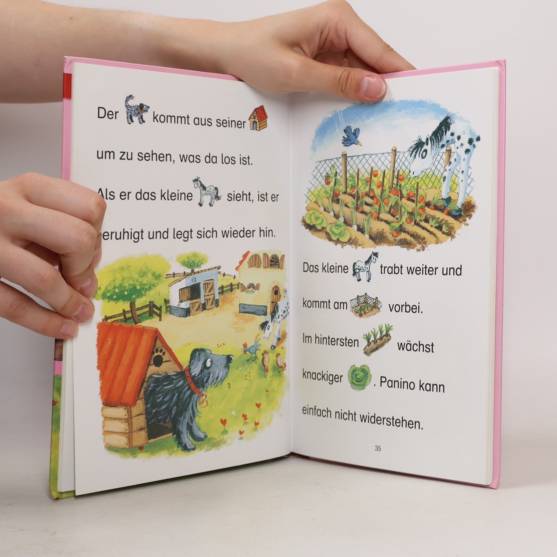Autorenkollektiv Leselöwen. Viel los auf dem Ponyhof