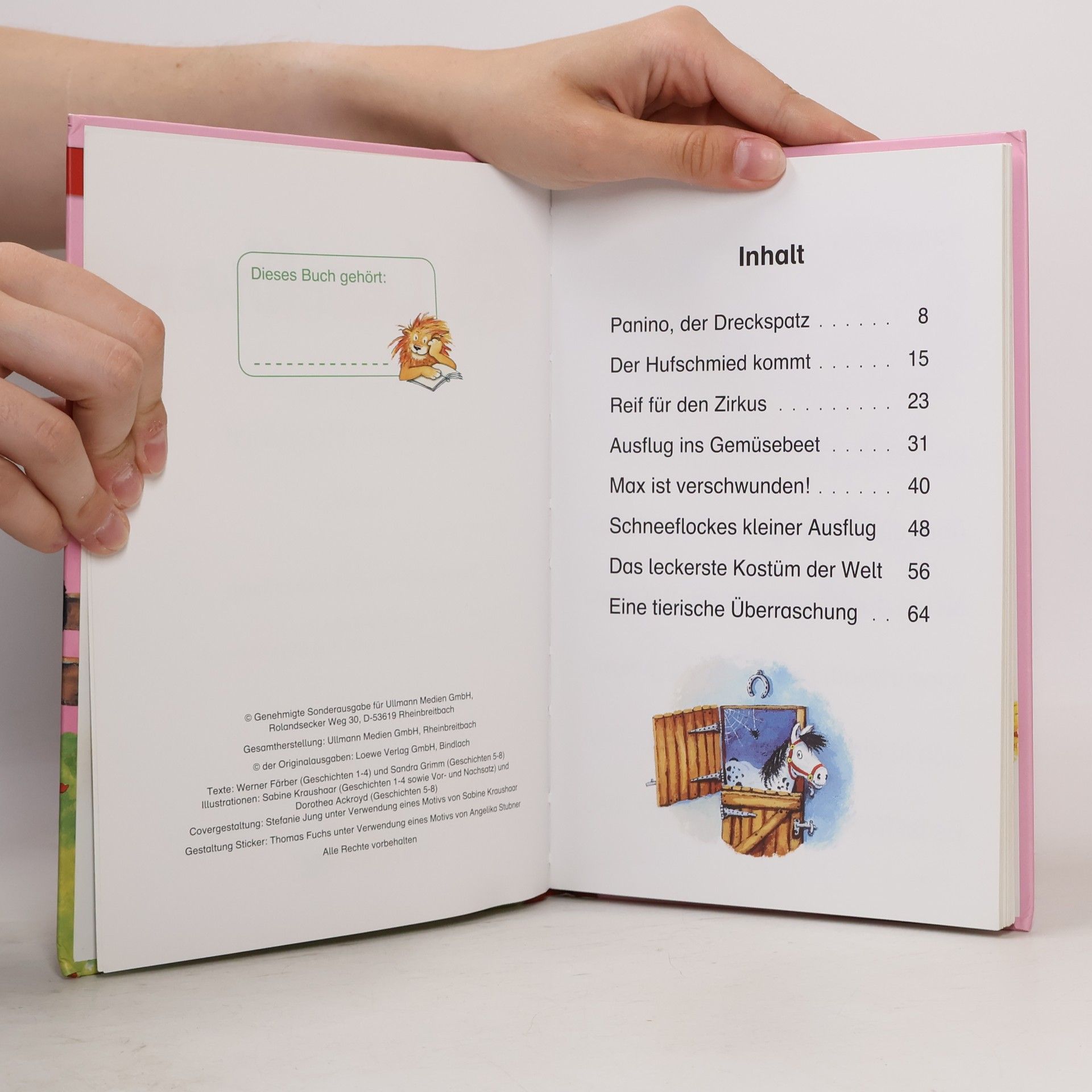 Autorenkollektiv Leselöwen. Viel los auf dem Ponyhof