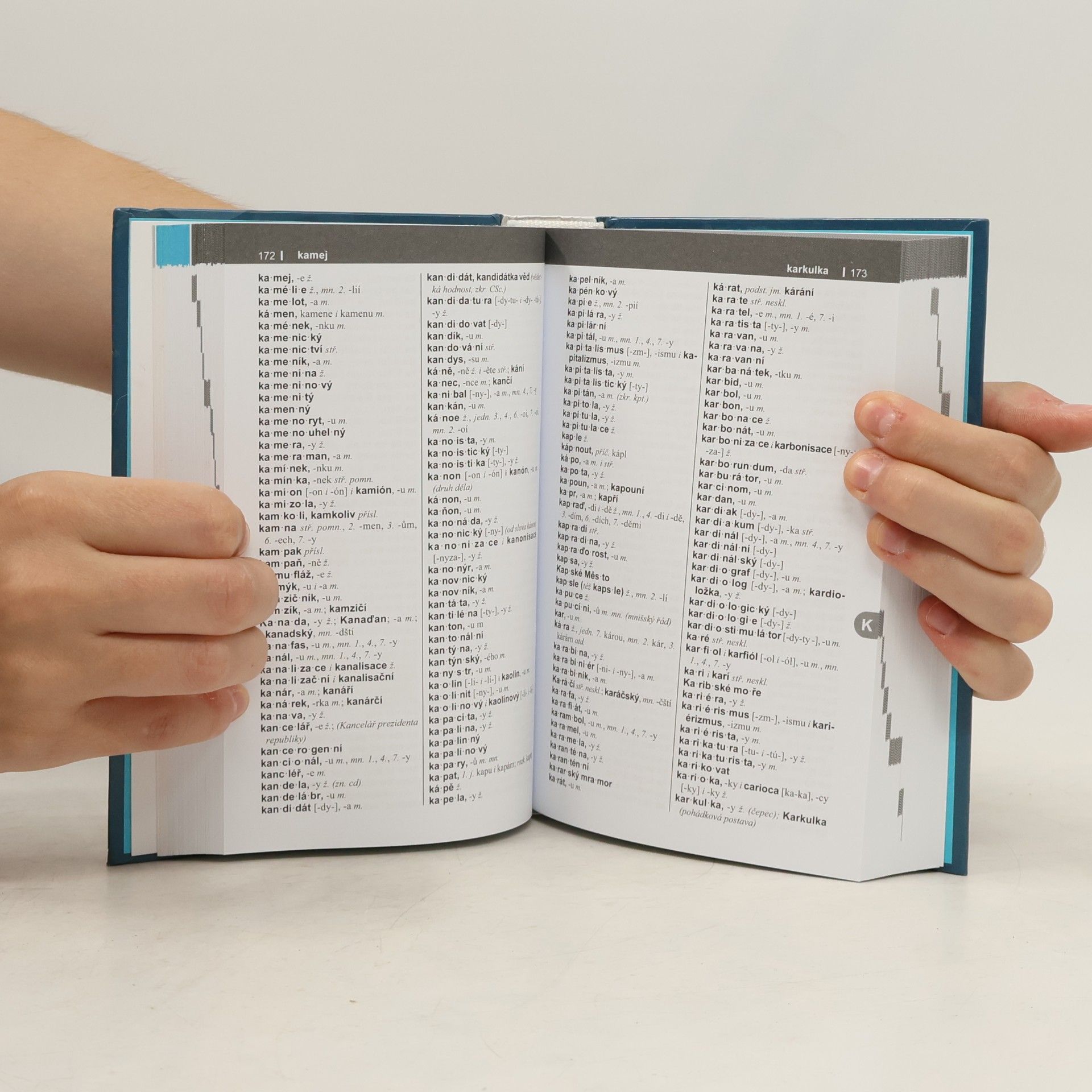 Various authors Pravidla českého pravopisu