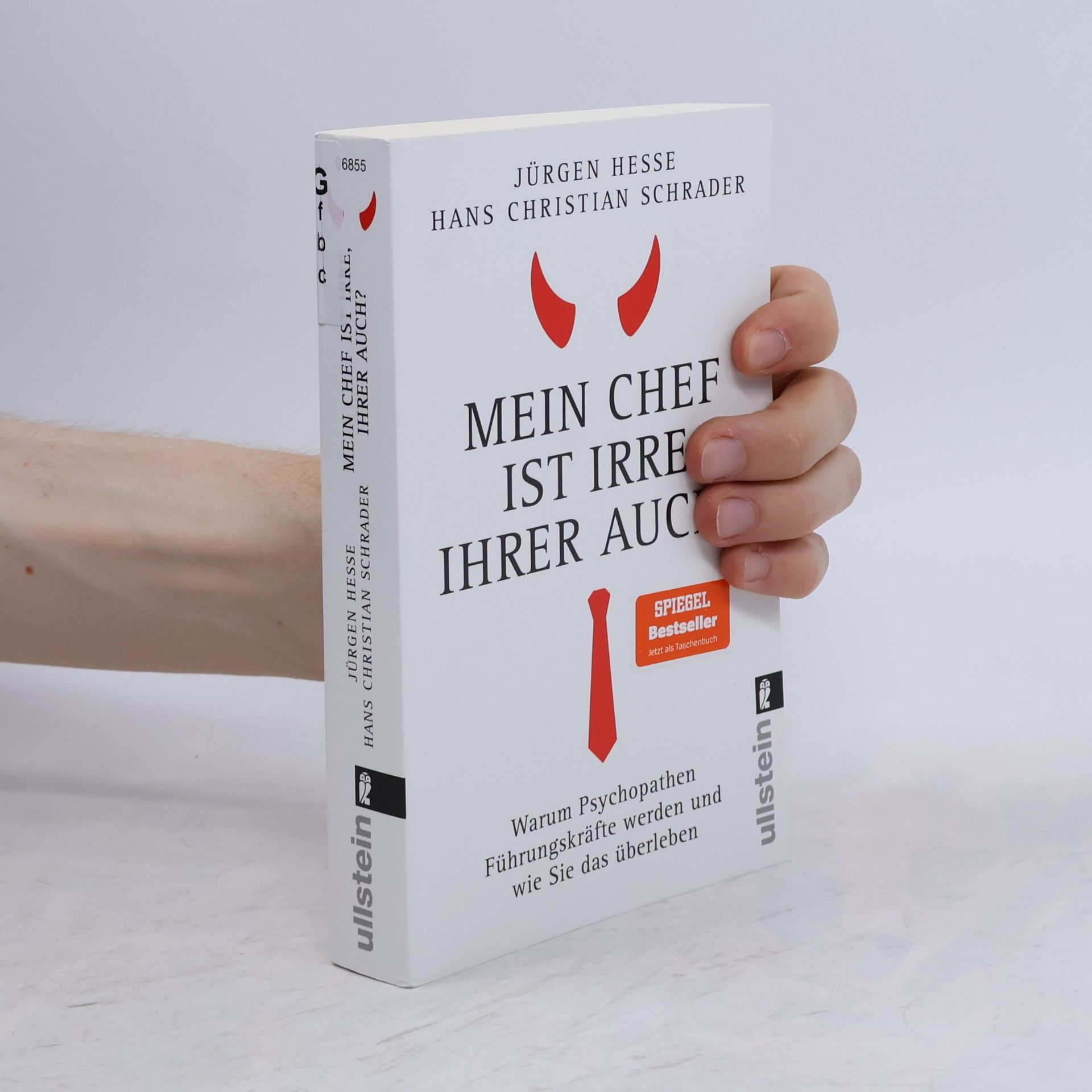 Jürgen Hesse Mein Chef ist irre - Ihrer auch?