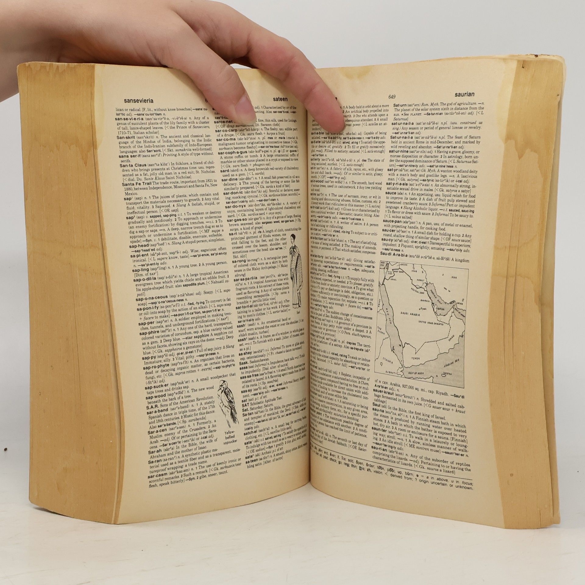 Various authors The New International Webster's Pocket Dictionary of the English Language