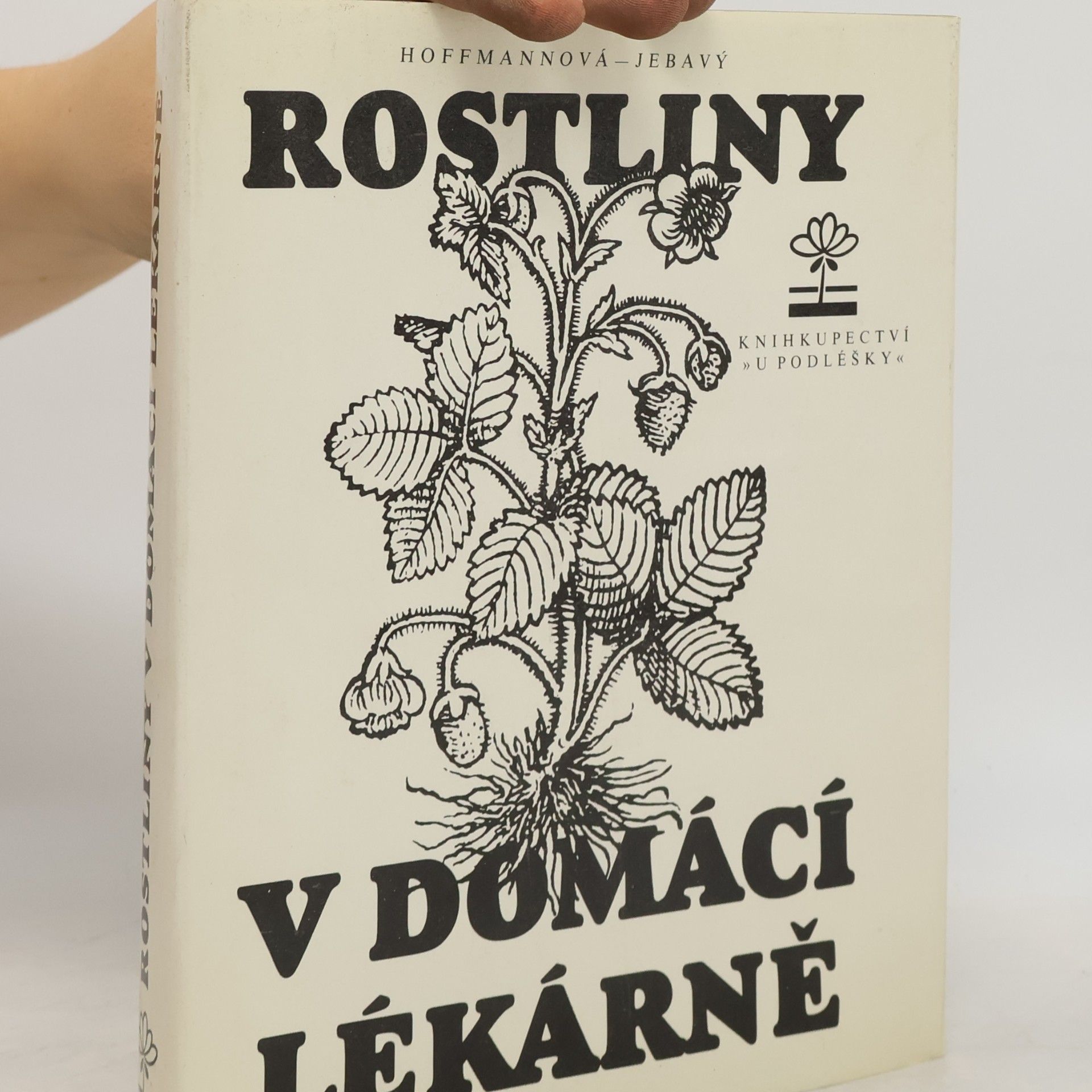 František S. Jebavý Rostliny v domácí lékárně