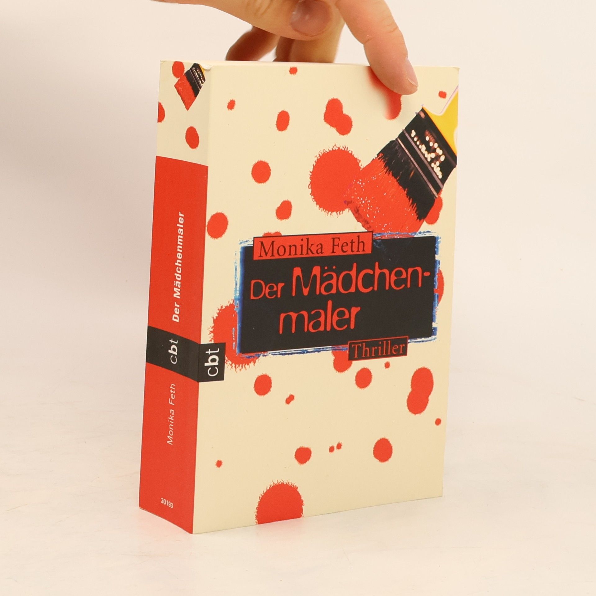 Monika Feth Der Mädchenmaler