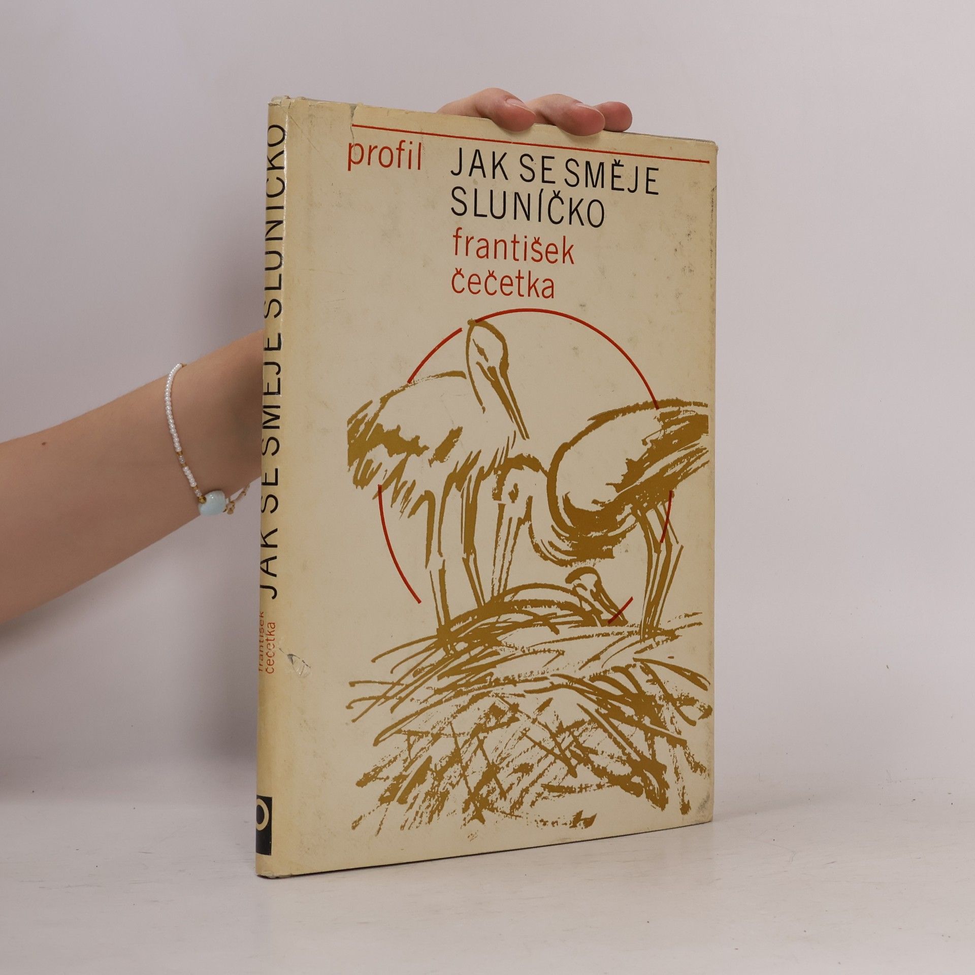 František Čečetka Jak se směje sluníčko