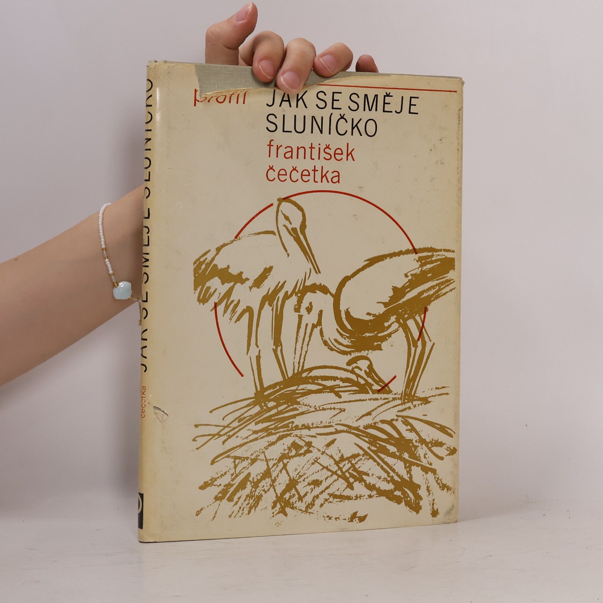 František Čečetka Jak se směje sluníčko