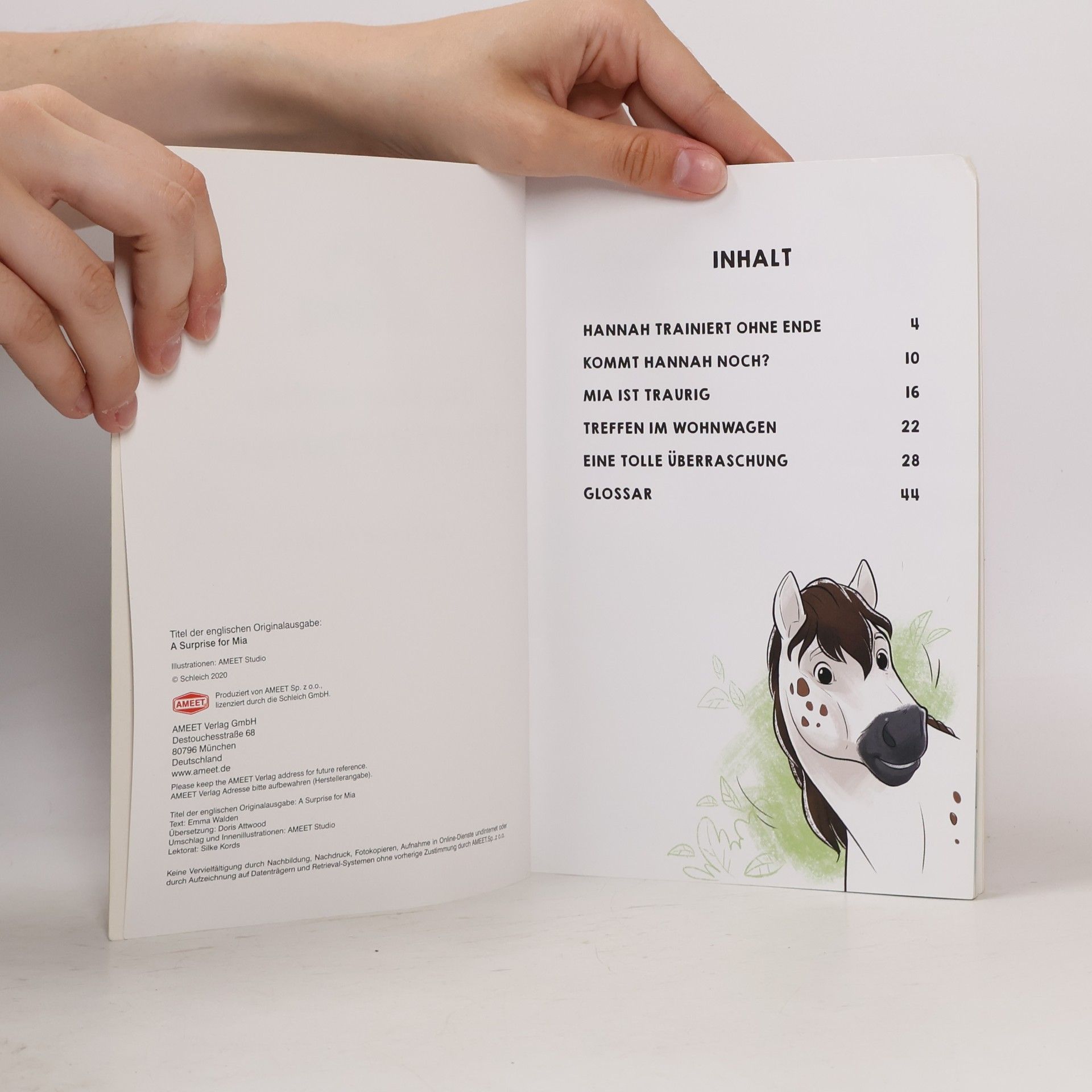 Autorenkollektiv Ein Tag voller Überraschungen