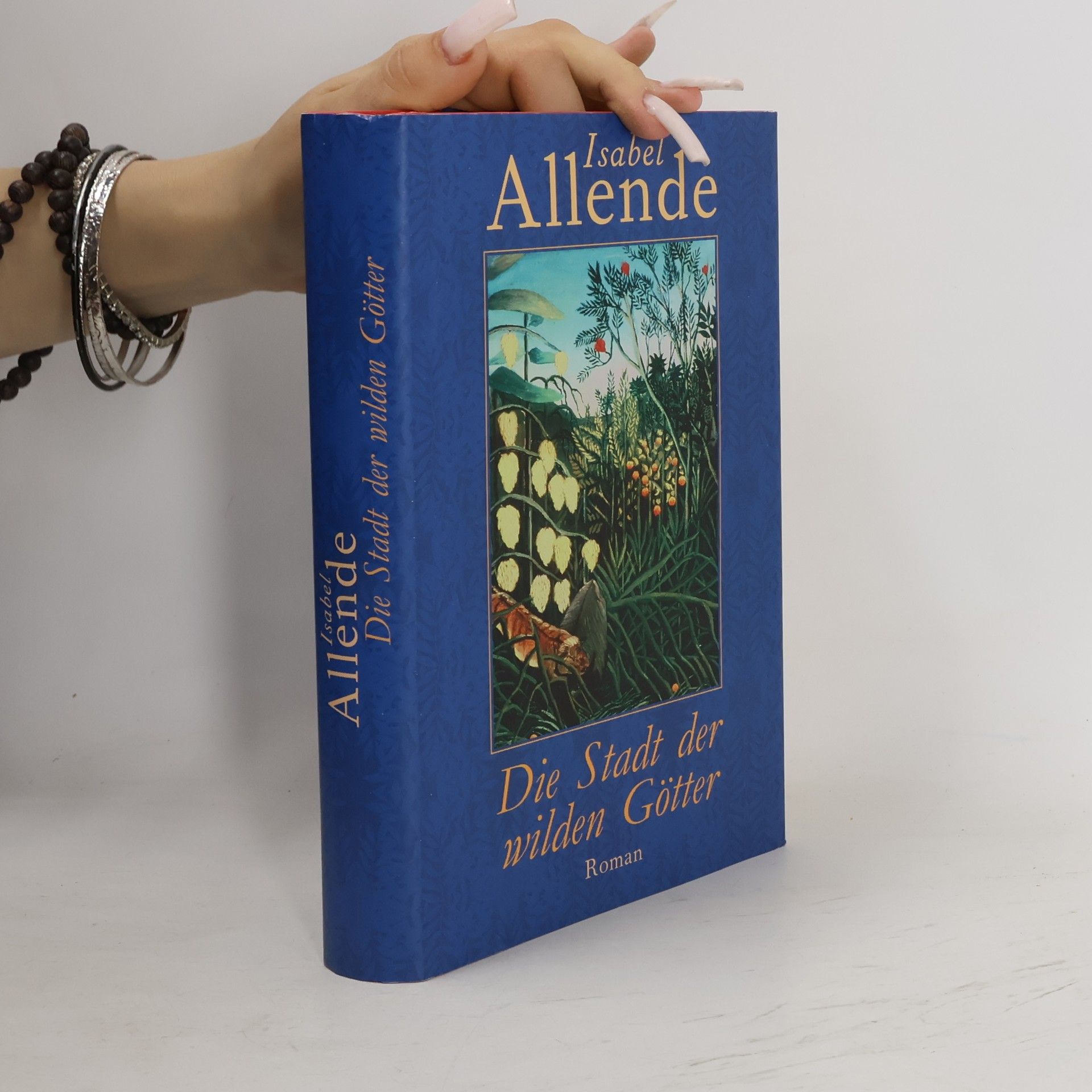 Isabel Allende Die Stadt der wilden Götter
