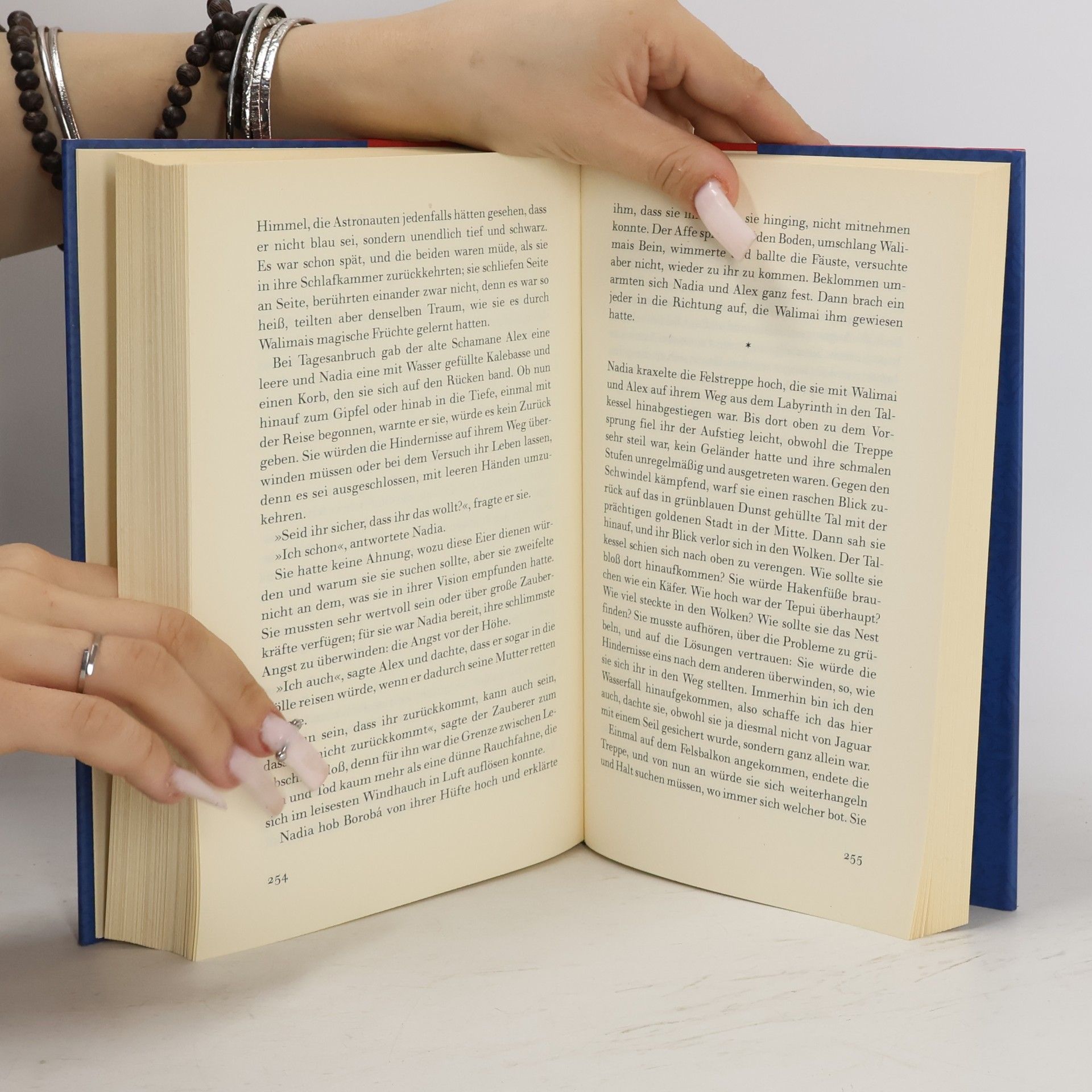 Isabel Allende Die Stadt der wilden Götter