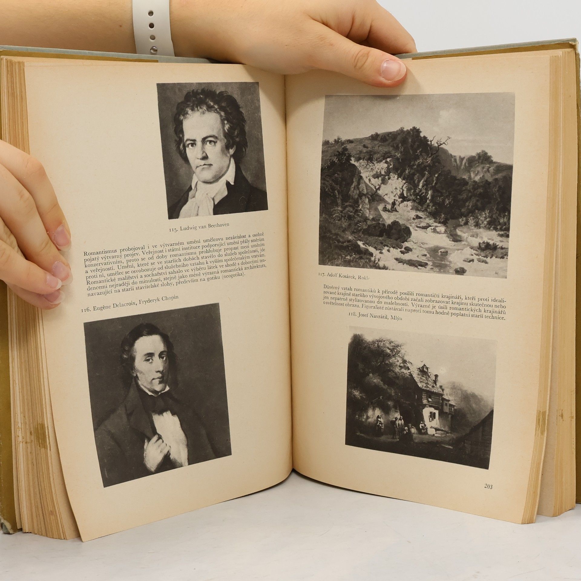 Bohuš Balajka Přehledné dějiny literatury 1