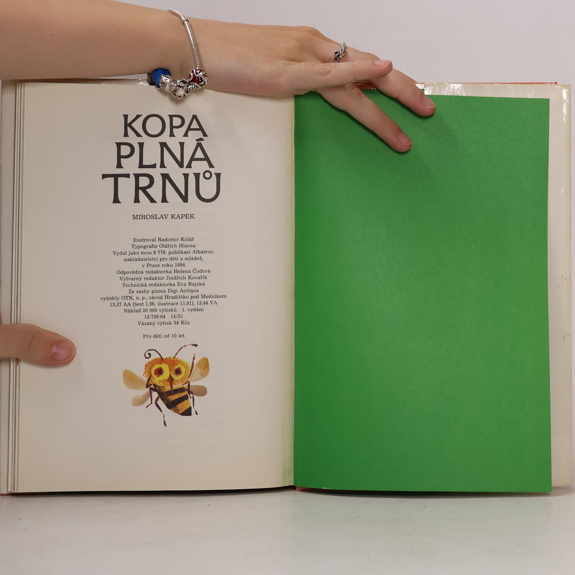 Miroslav Kapek Kopa plná trnů