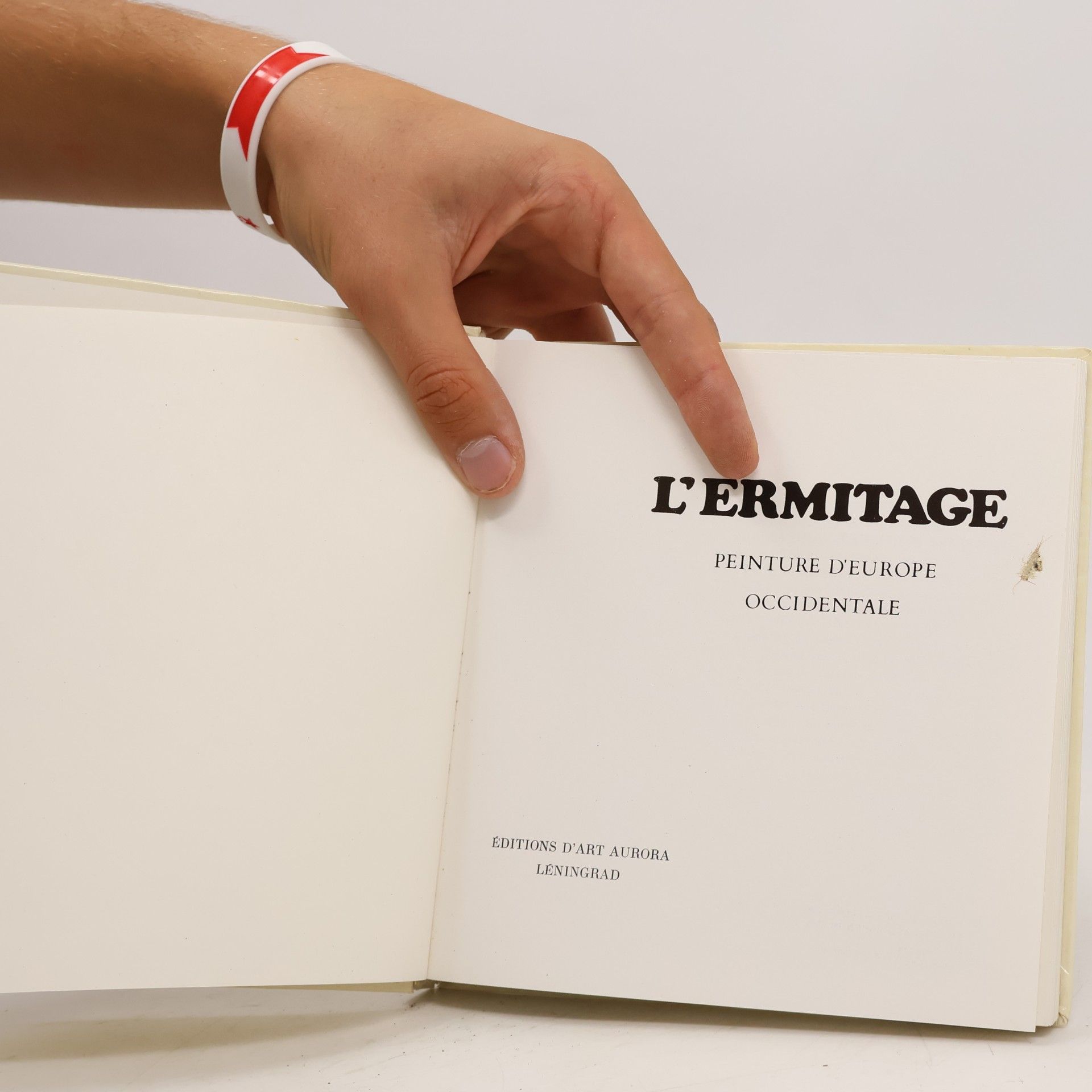 Collectif d'auteurs L'Ermitage: la peinture d'Europe occidentale