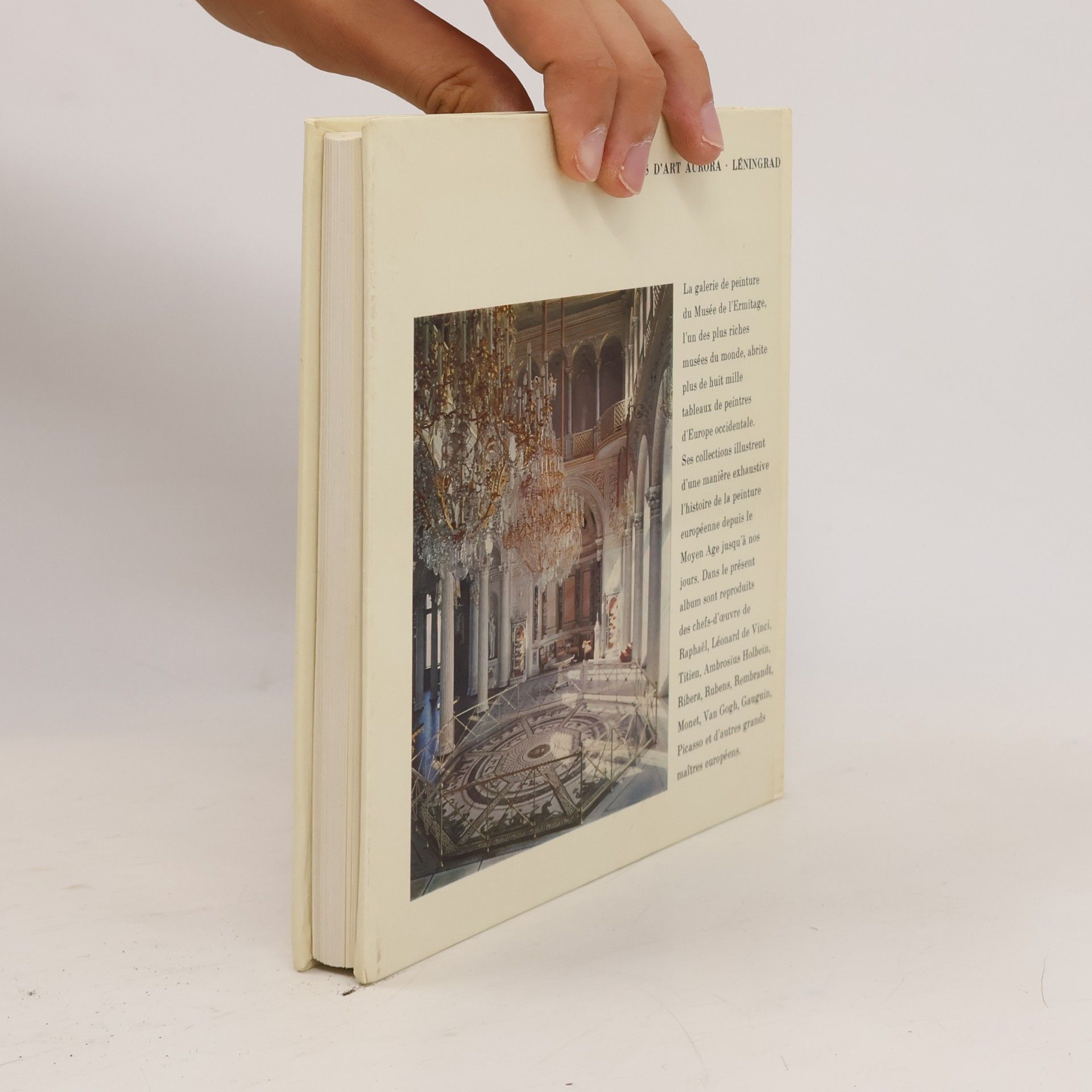 Collectif d'auteurs L'Ermitage: la peinture d'Europe occidentale