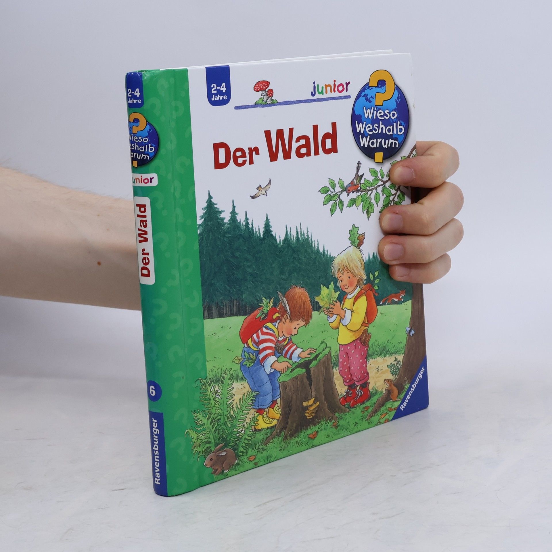 Angela Weinhold Der Wald