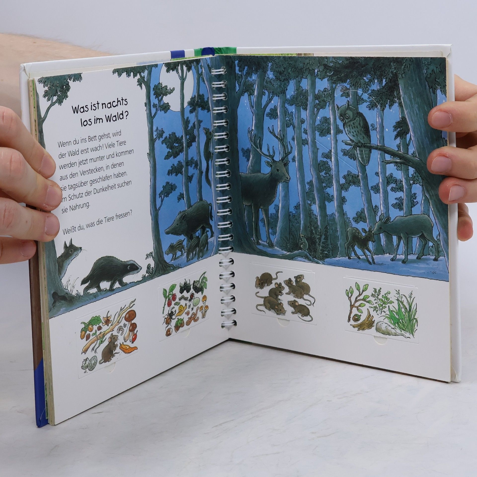 Autorenkollektiv Der Wald