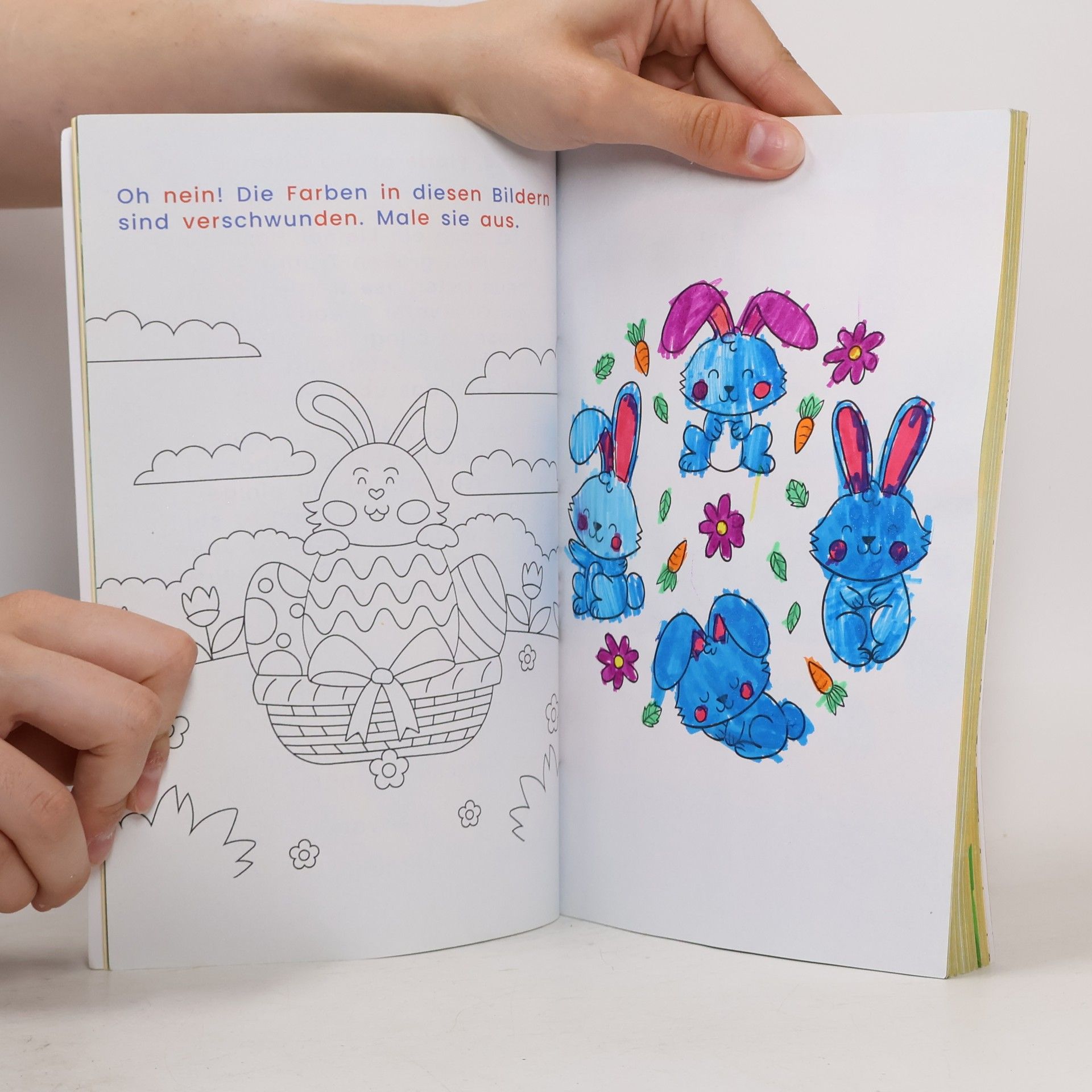 Media Elvi Flori und das Geheimnis des Osterhasen: 30 zauberhafte Ostergeschichten für Erstleser - Silbengeschichten mit Rätselspaß zum Mitmachen und Lesenlernen - 1. Klasse Silbenbuch für Kinder ab 6 Jahren