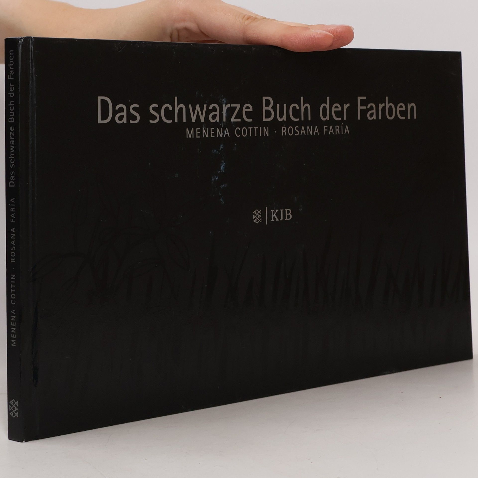 Rosana Fari a. Das schwarze Buch der Farben