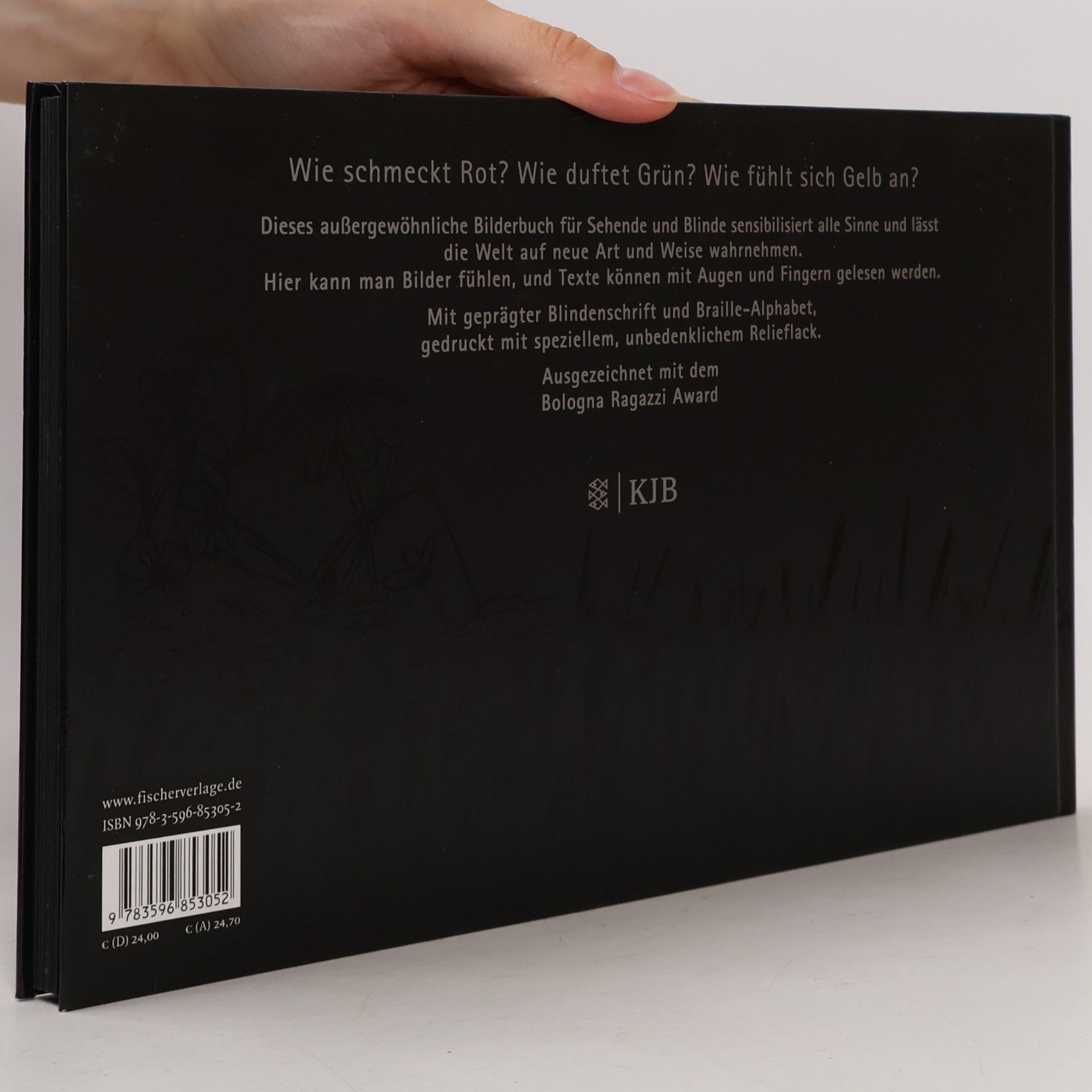 Menena Cottin Das schwarze Buch der Farben