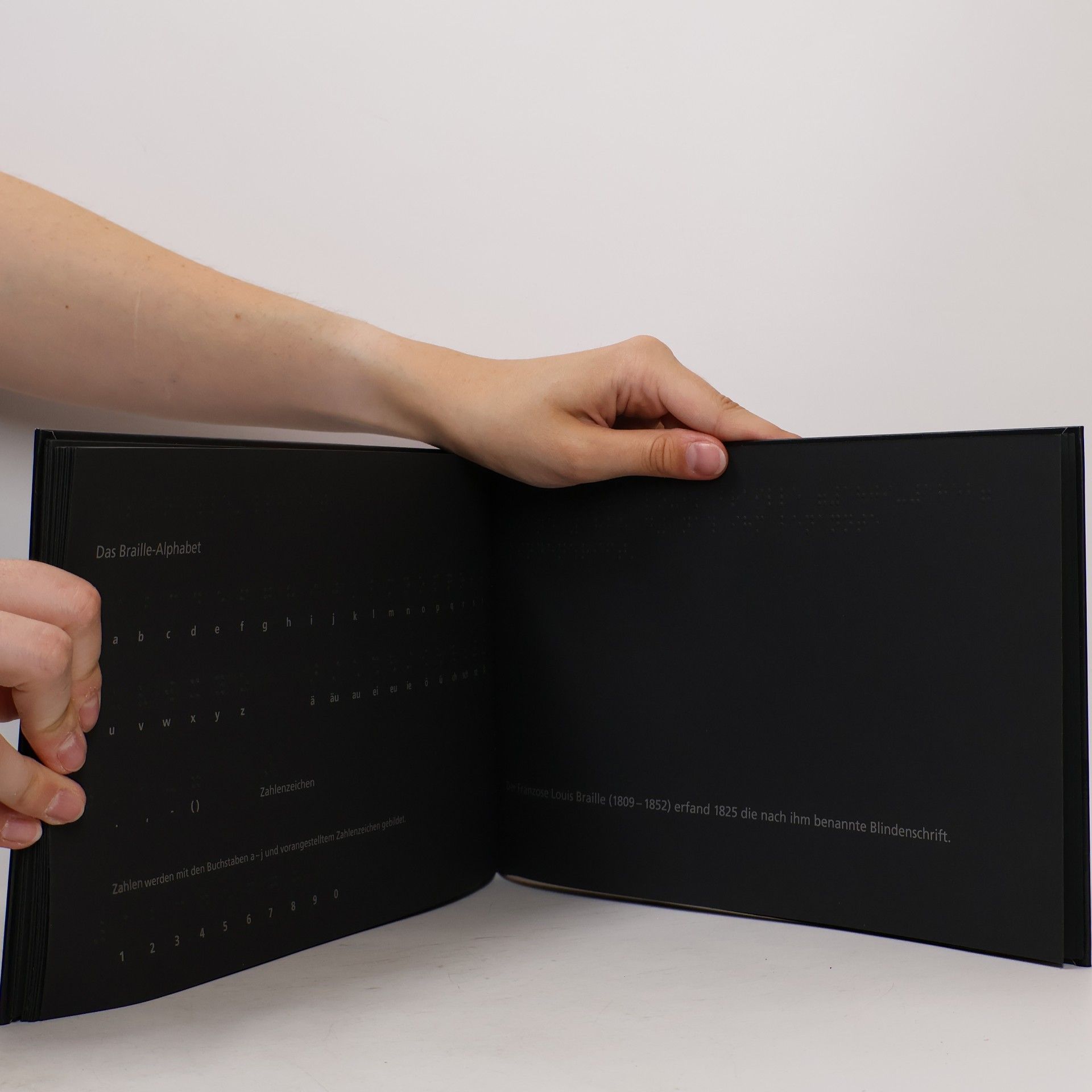 Menena Cottin Das schwarze Buch der Farben