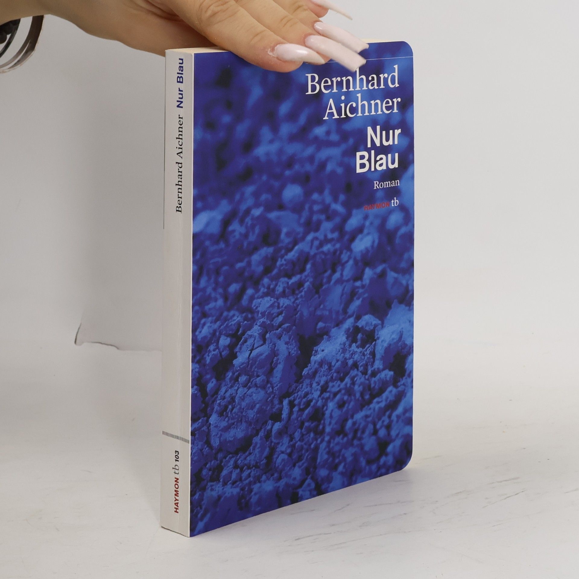 Bernhard Aichner Nur Blau