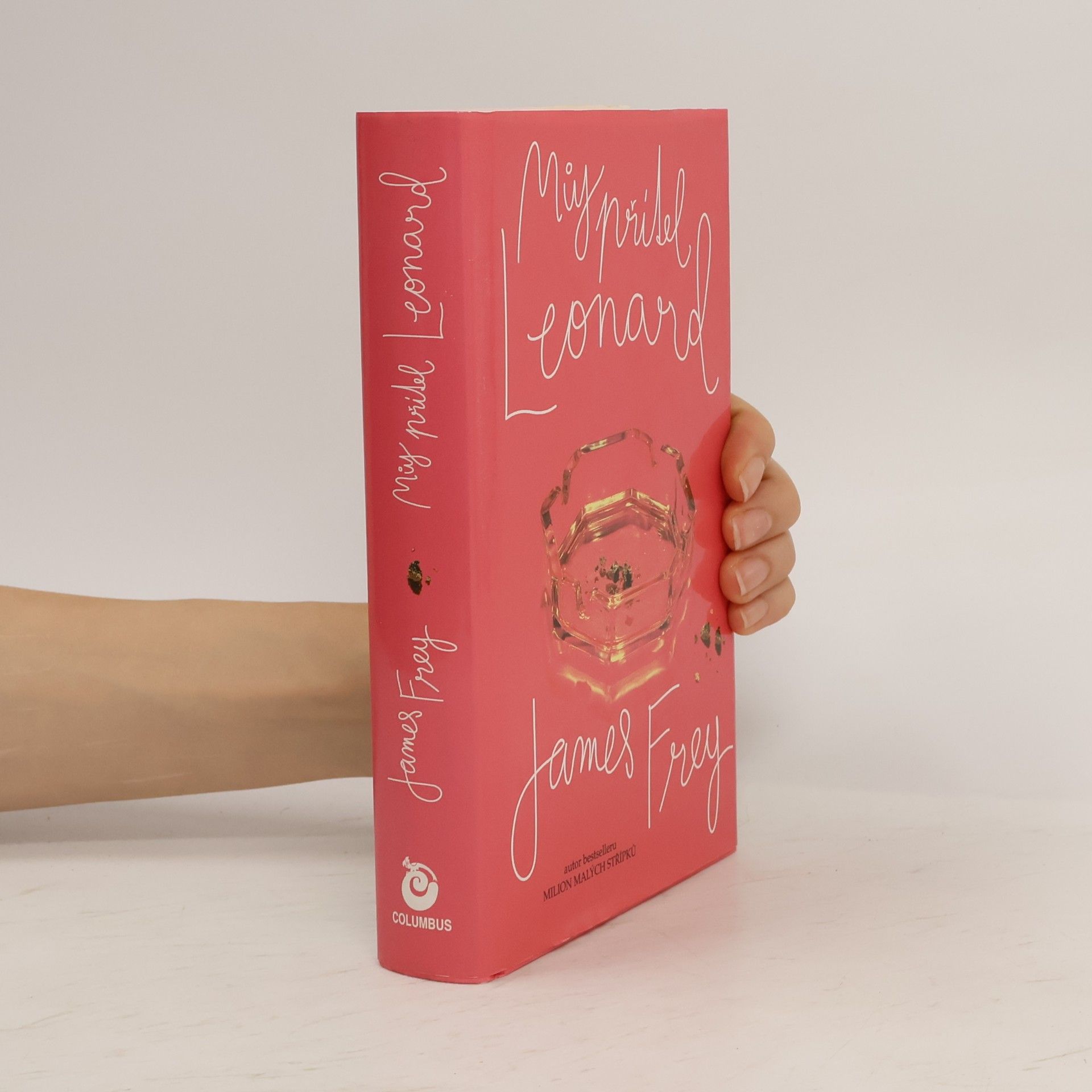 James Frey Můj přítel Leonard