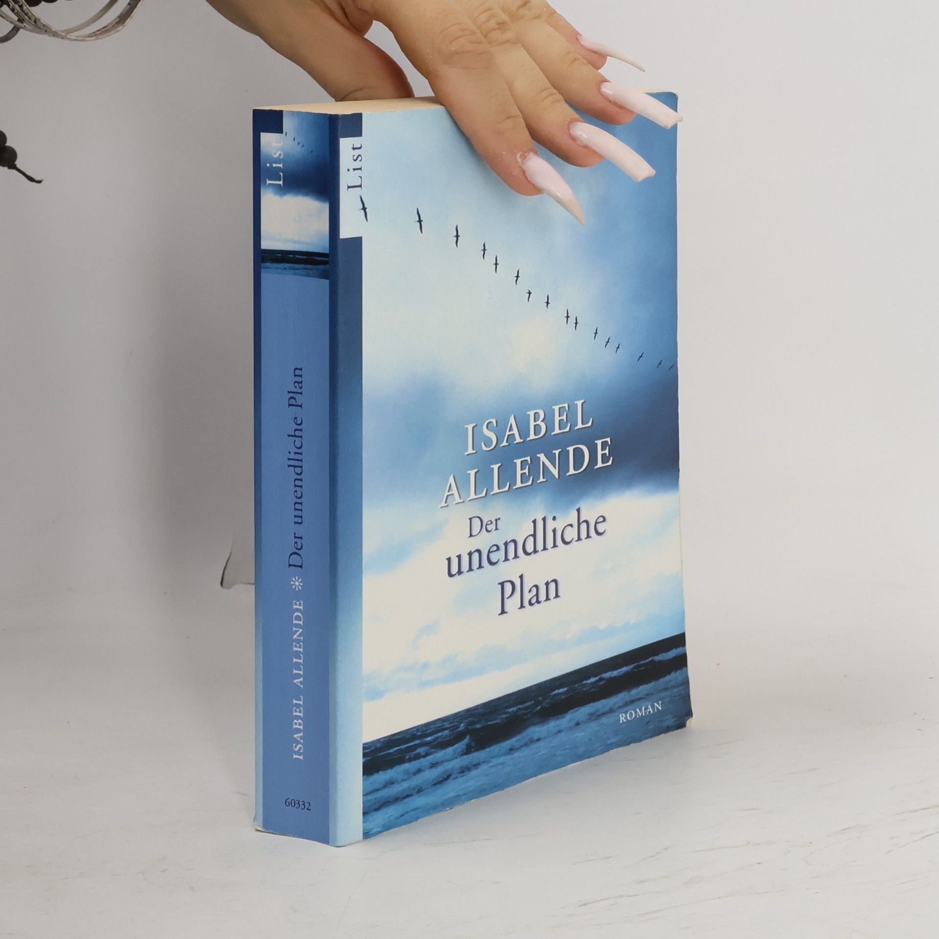 Isabel Allende Der unendliche Plan