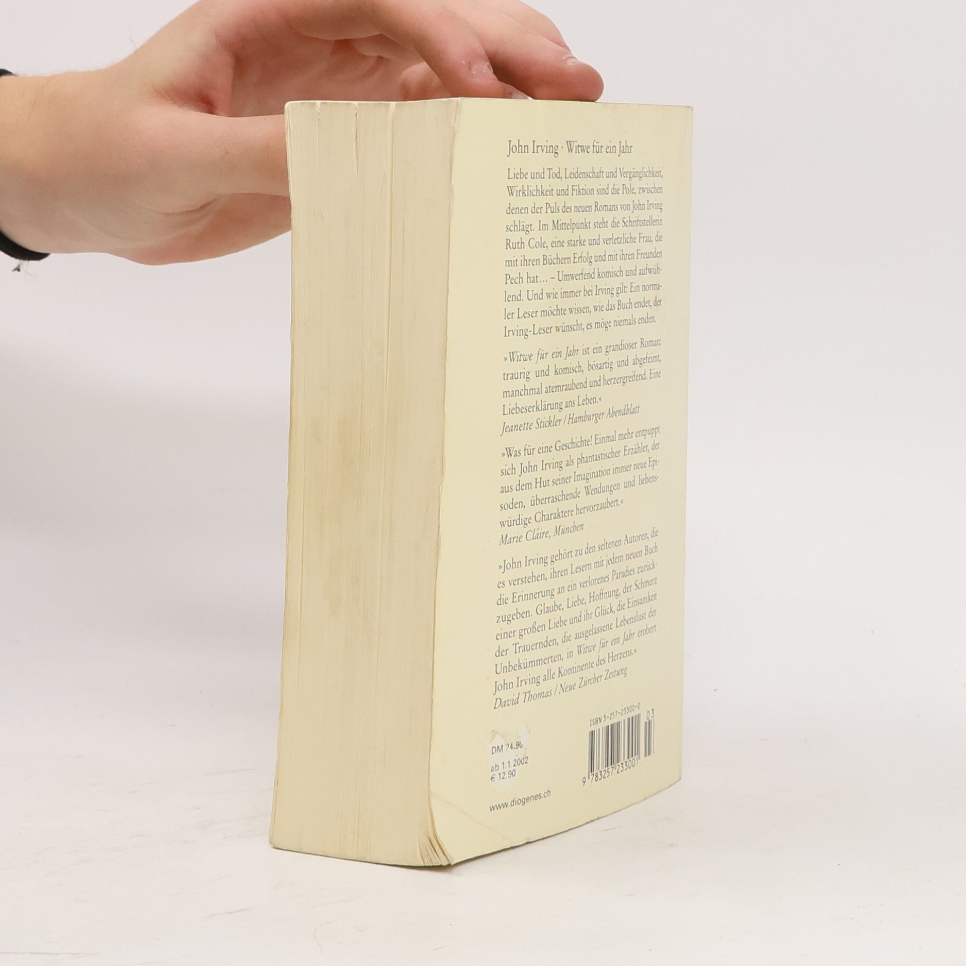 John Irving Witwe für ein Jahr