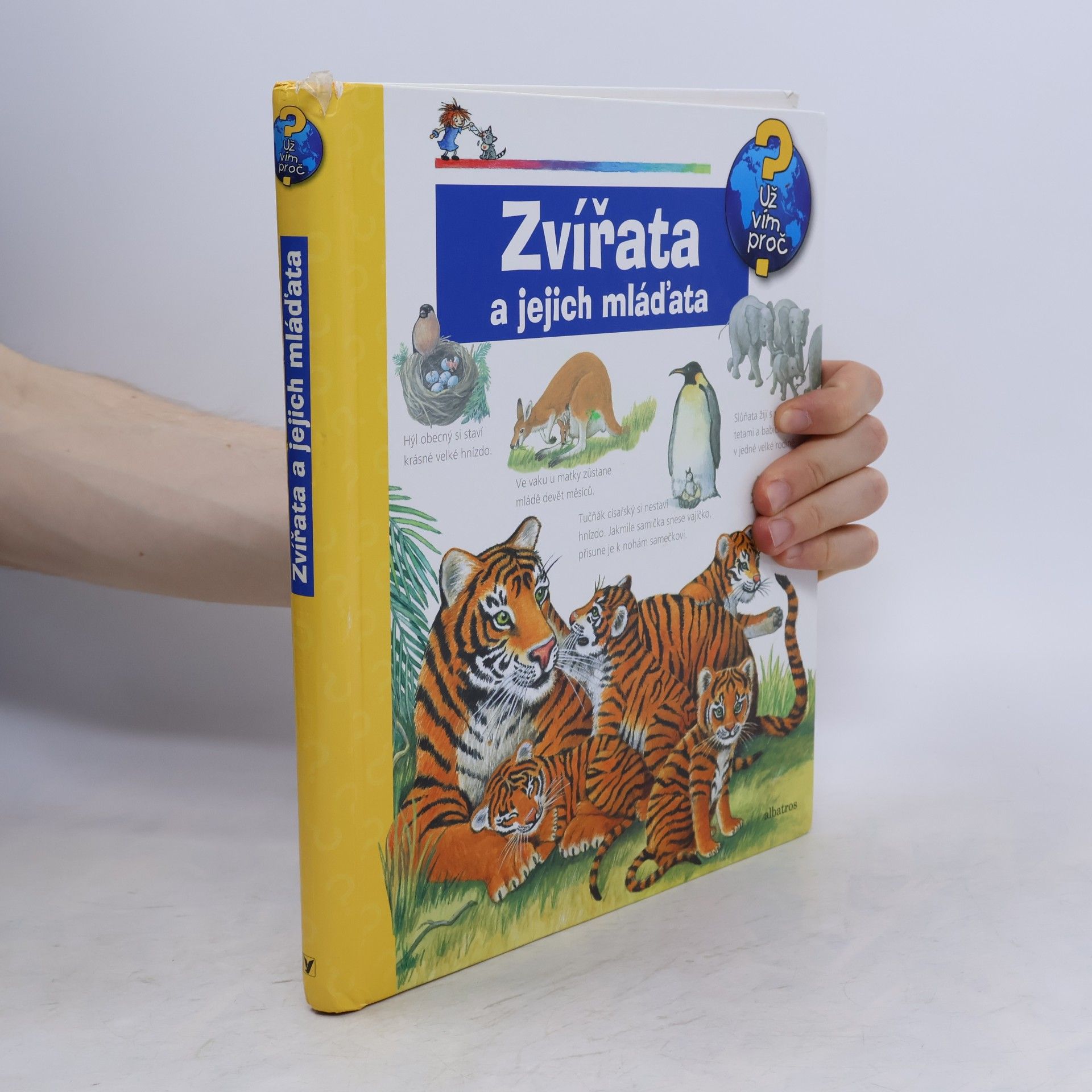 Doris Rübel Zvířata a jejich mláďata