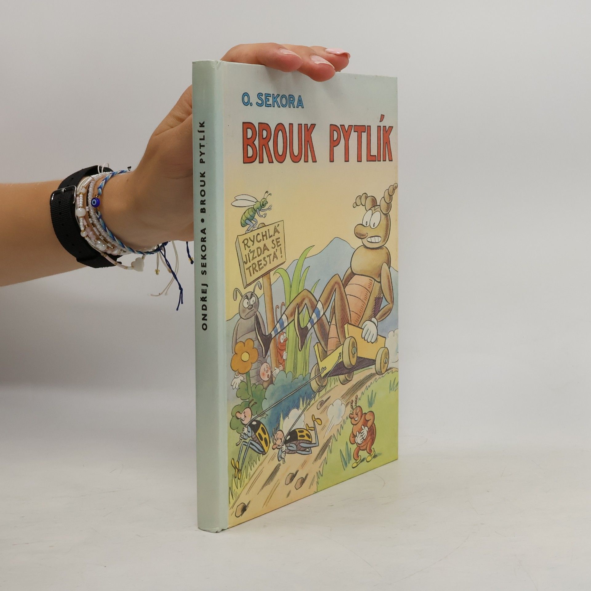 Ondřej Sekora Brouk Pytlík