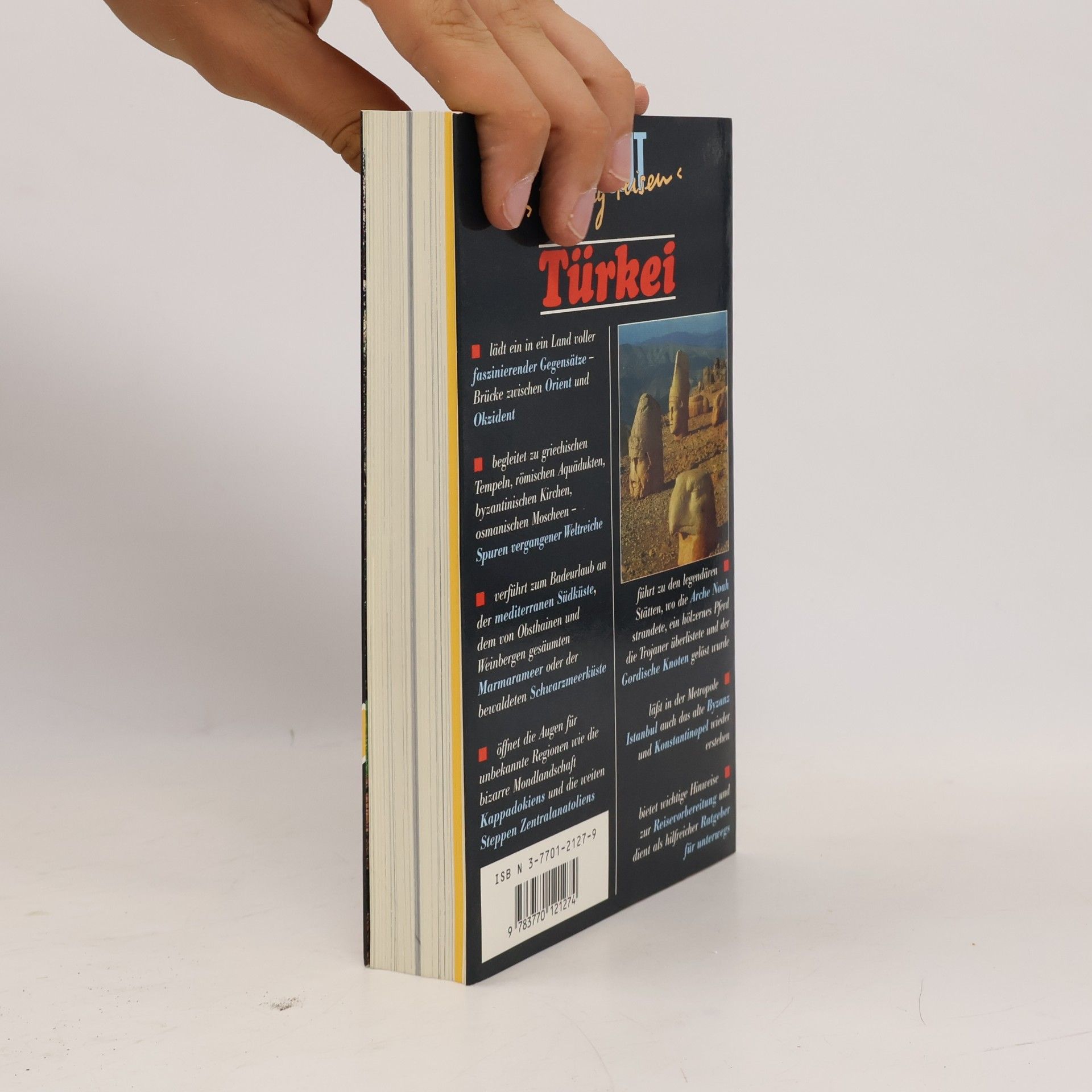 Dux Schneider Türkei : Reise-Handbuch