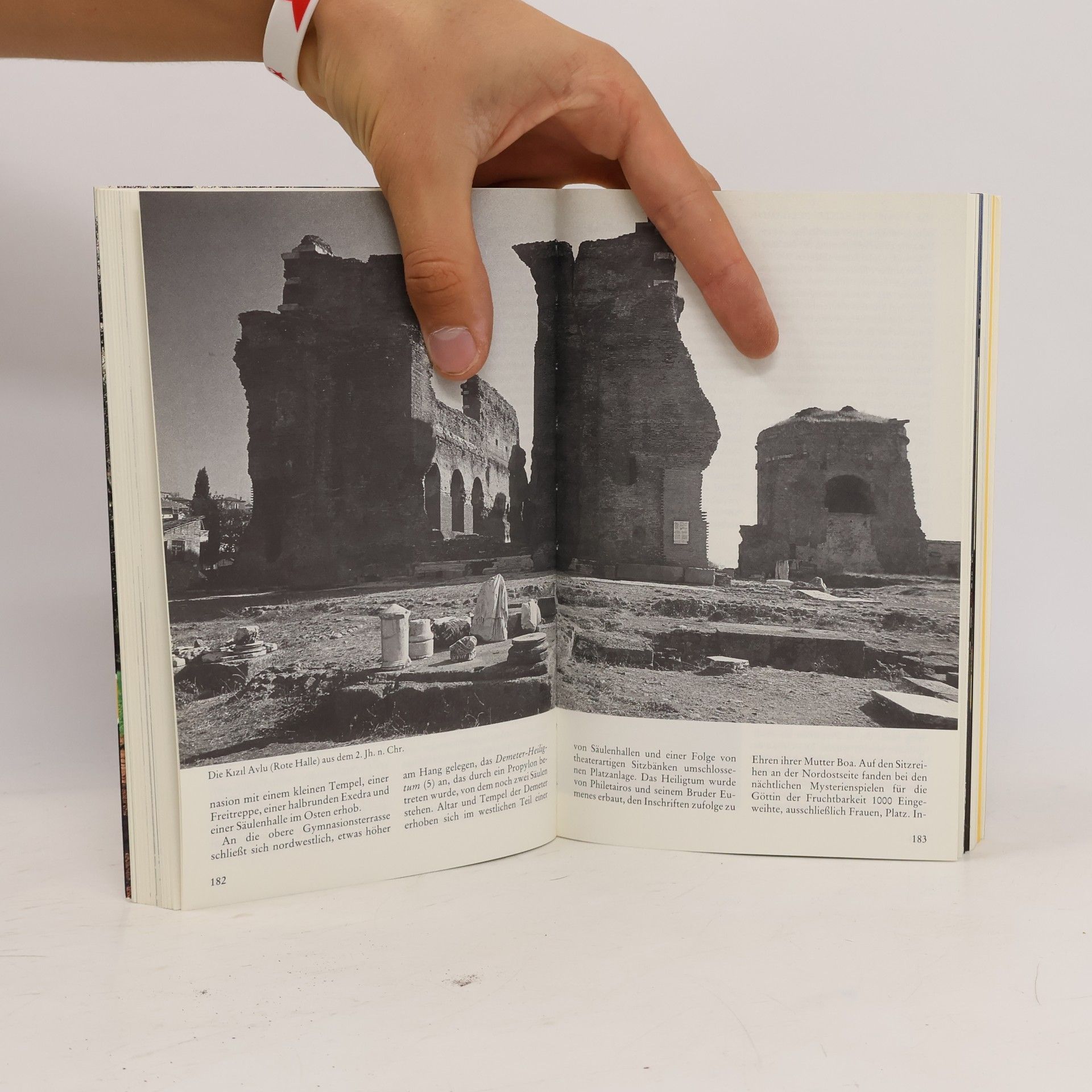 Dux Schneider Türkei : Reise-Handbuch