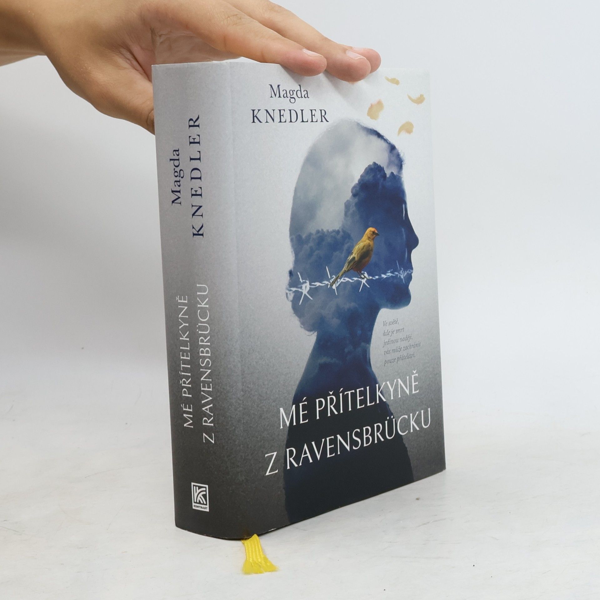 Magdalena Knedler Mé přítelkyně z Ravensbrücku