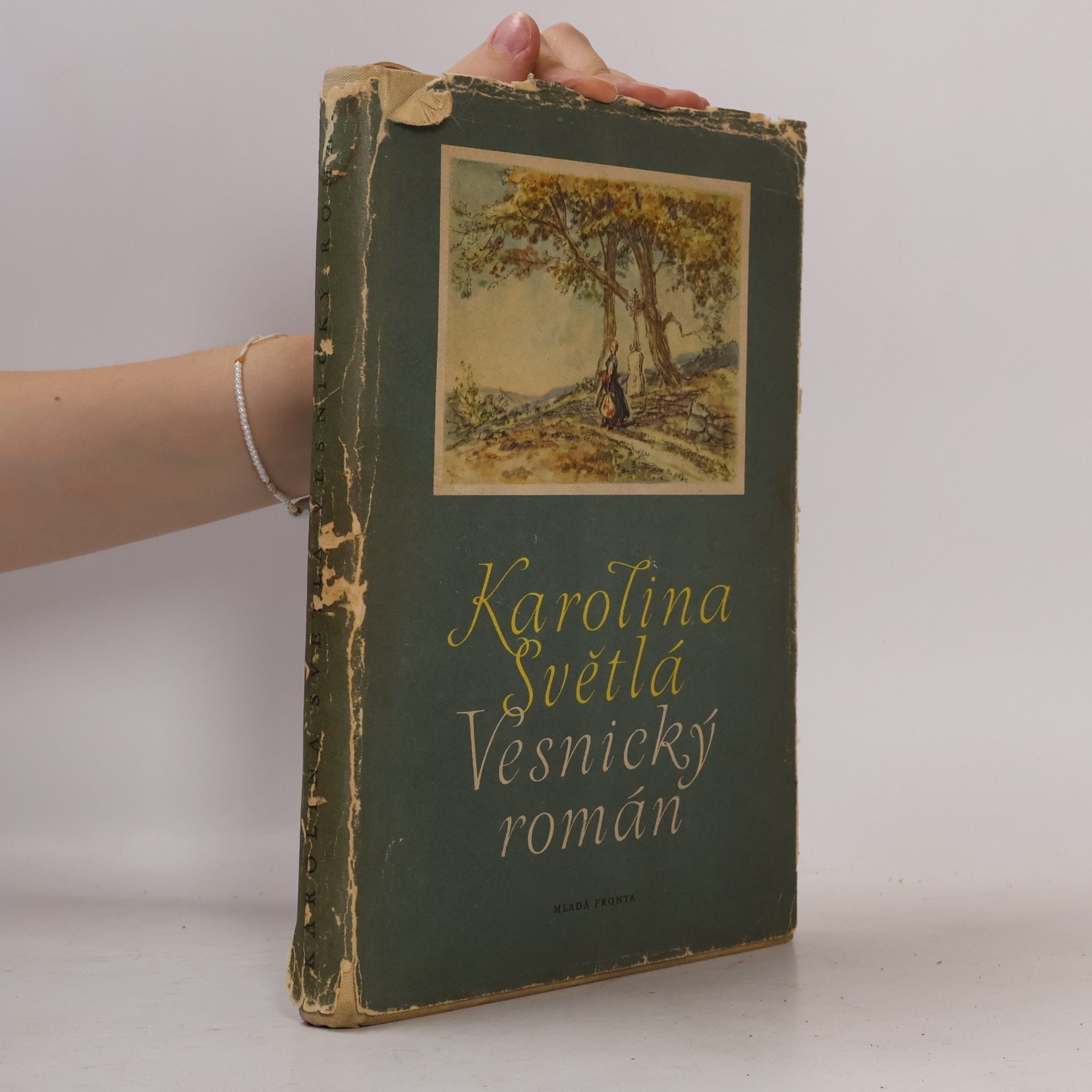 Karolina Světlá Vesnický román