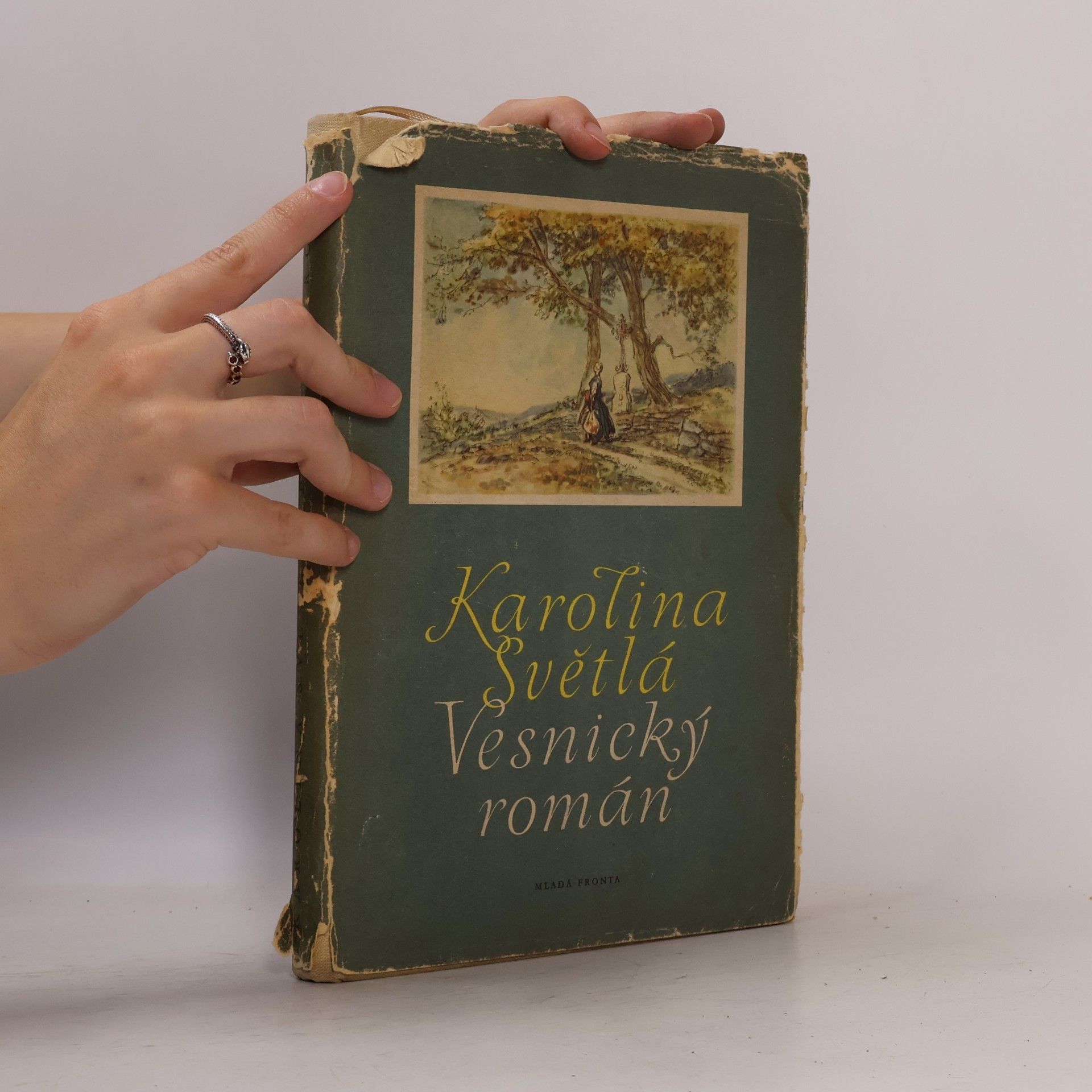Karolina Světlá Vesnický román